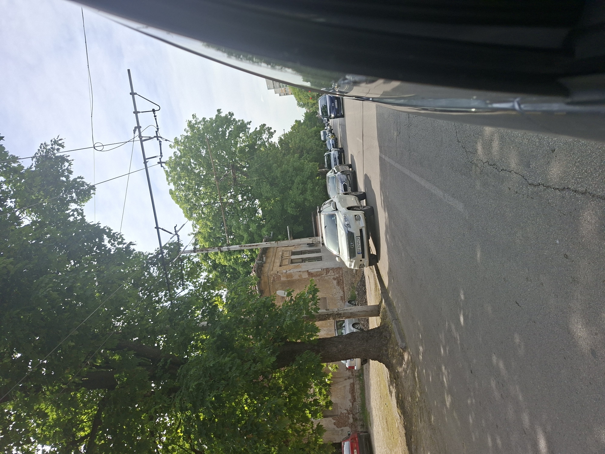 The image shows a street in Pleven, Bulgaria. The view is from inside a vehicle. Parked cars line the right side of the street. An old building is adjacent to a large tree. Overhead power lines are visible. The street is asphalt. The sky is visible through the trees and between the vehicle's interior and the buildings. The white car parked near the curb has license plate BP 8269 GP.
