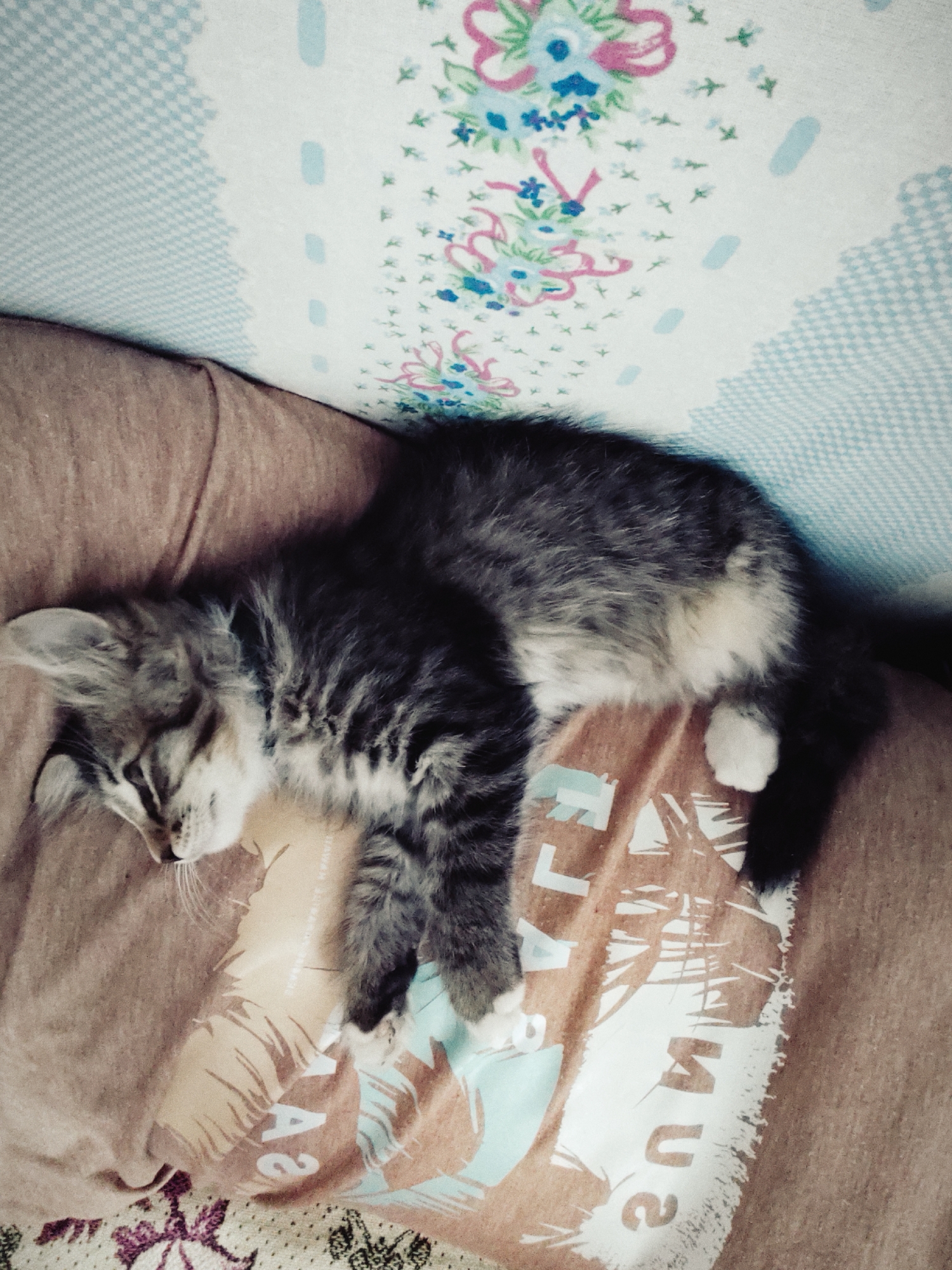 A medium shot shows a tabby kitten sleeping soundly on a brown blanket. The kitten is curled up, with its head resting on its paws. Its fur is a mix of gray, black, and white, with distinct stripes on its back and tail. The blanket is soft and textured, and the kitten appears to be very comfortable. In the background, a floral-patterned cloth is visible, with light blue and pink flowers. The overall scene is peaceful and idyllic. The image was taken in Durlești, Moldova.
