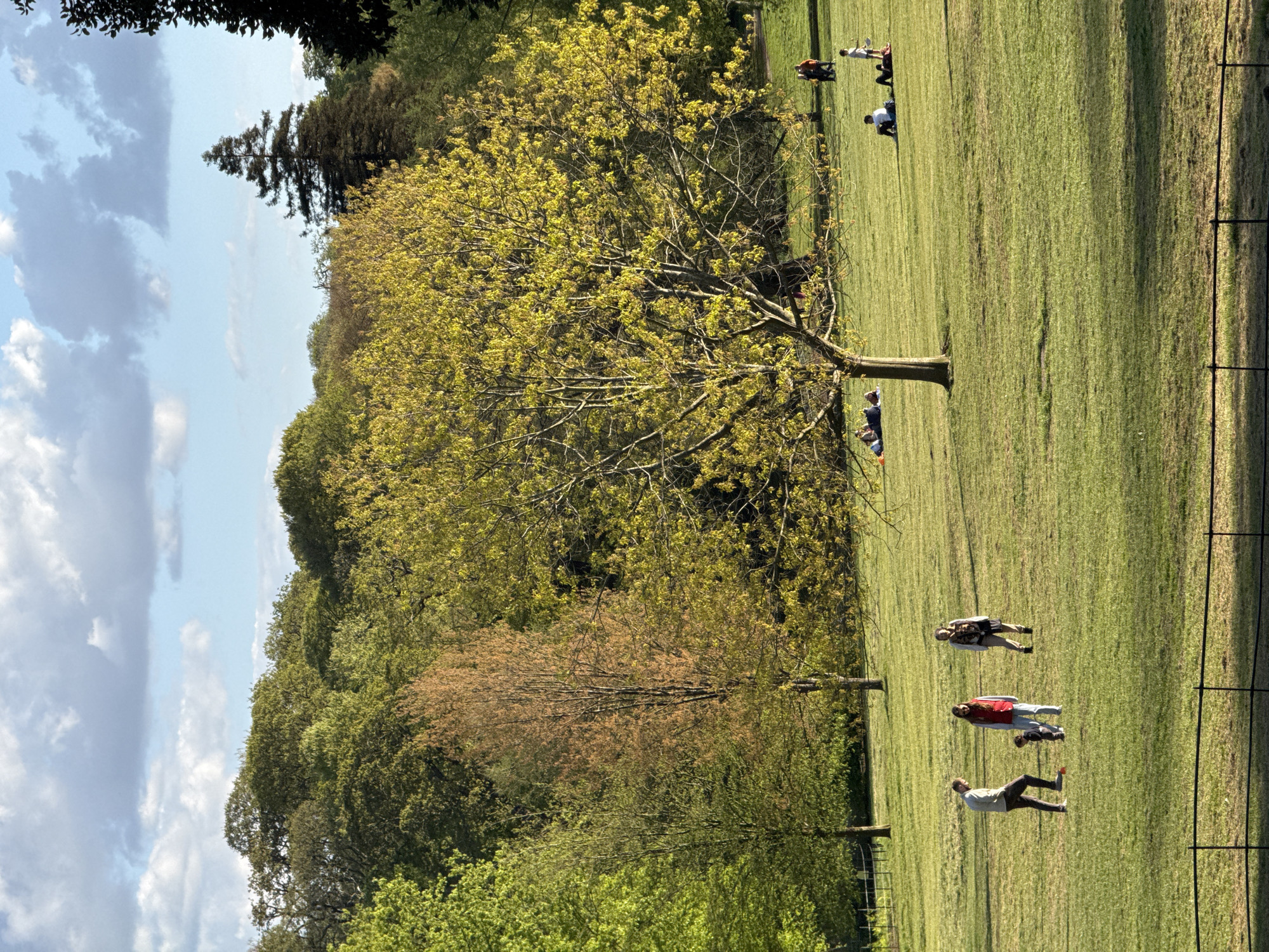 The image shows a grassy field with trees and people lying down in a park in London, United Kingdom. The sky is blue with clouds. There are several people scattered across the field. A line of trees separates the field from a forest area. Some people are lying on the grass near a large tree with light green leaves.