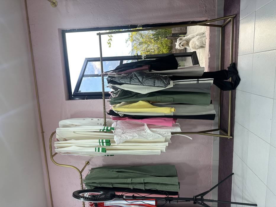 The image depicts an indoor scene, likely a clothing boutique or room, opening to an outdoor area. The location is specified as Mexico City, Mexico.
The interior features light pink, textured walls and a white tiled floor in the foreground, transitioning to a dark red/purple rug under a central clothing rack. A brass-colored pipe runs along the upper wall. Two clothing racks are present: a curved, wall-mounted brass-colored rack on the left displays white garments, some with green striped sleeves, and olive green cargo pants. A freestanding, rectangular brass-colored rack in the center holds a variety of women's apparel including a white lace top, a pink top, a yellow sweatshirt, olive green pants, a grey and white plaid skirt, a black puffer vest, and dark pants. A black ring light on a black tripod stand is positioned on the far left.
An open, dark-framed doorway or large window on the right provides a view to an outdoor patio or garden. The sky, partially cloudy and blue, is visible through the opening. Green foliage, including a plant in a wooden planter box, is discernible directly outside. A small to medium-sized, light-colored, shaggy-haired dog (possibly a Maltese) is seated on the light-colored concrete surface outside the doorway, facing into the room. No people are visible.