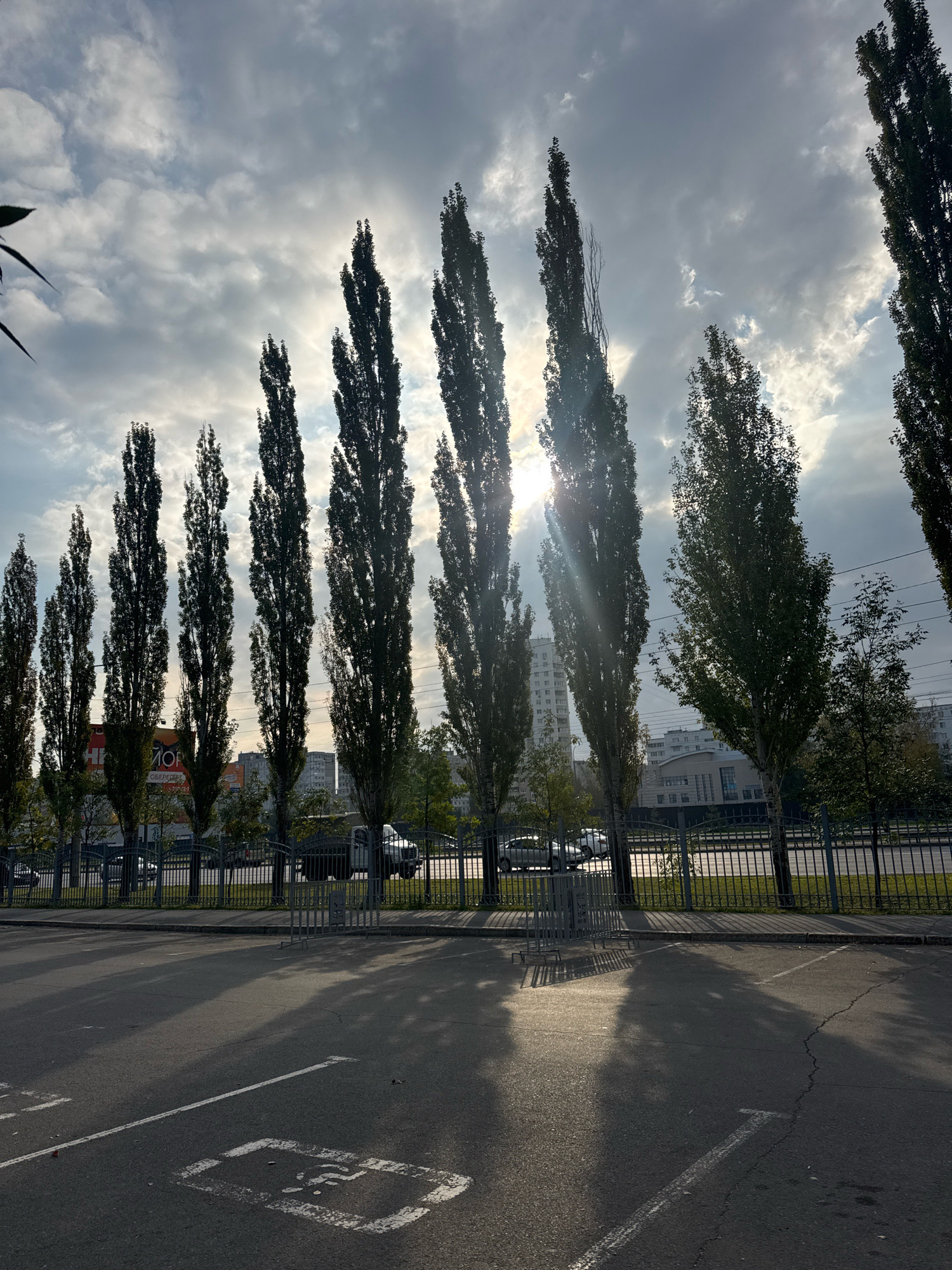 The image depicts a row of tall, slender trees casting long shadows on a paved parking lot in Ufa, Russia. The sun is low in the sky, creating a backlit effect that silhouettes the trees against a cloudy sky. In the background, there are buildings, a fence, and a street with a few cars. A painted symbol for a disabled parking spot is visible on the asphalt in the foreground. The overall scene suggests an urban environment on a sunny day with some cloud cover.