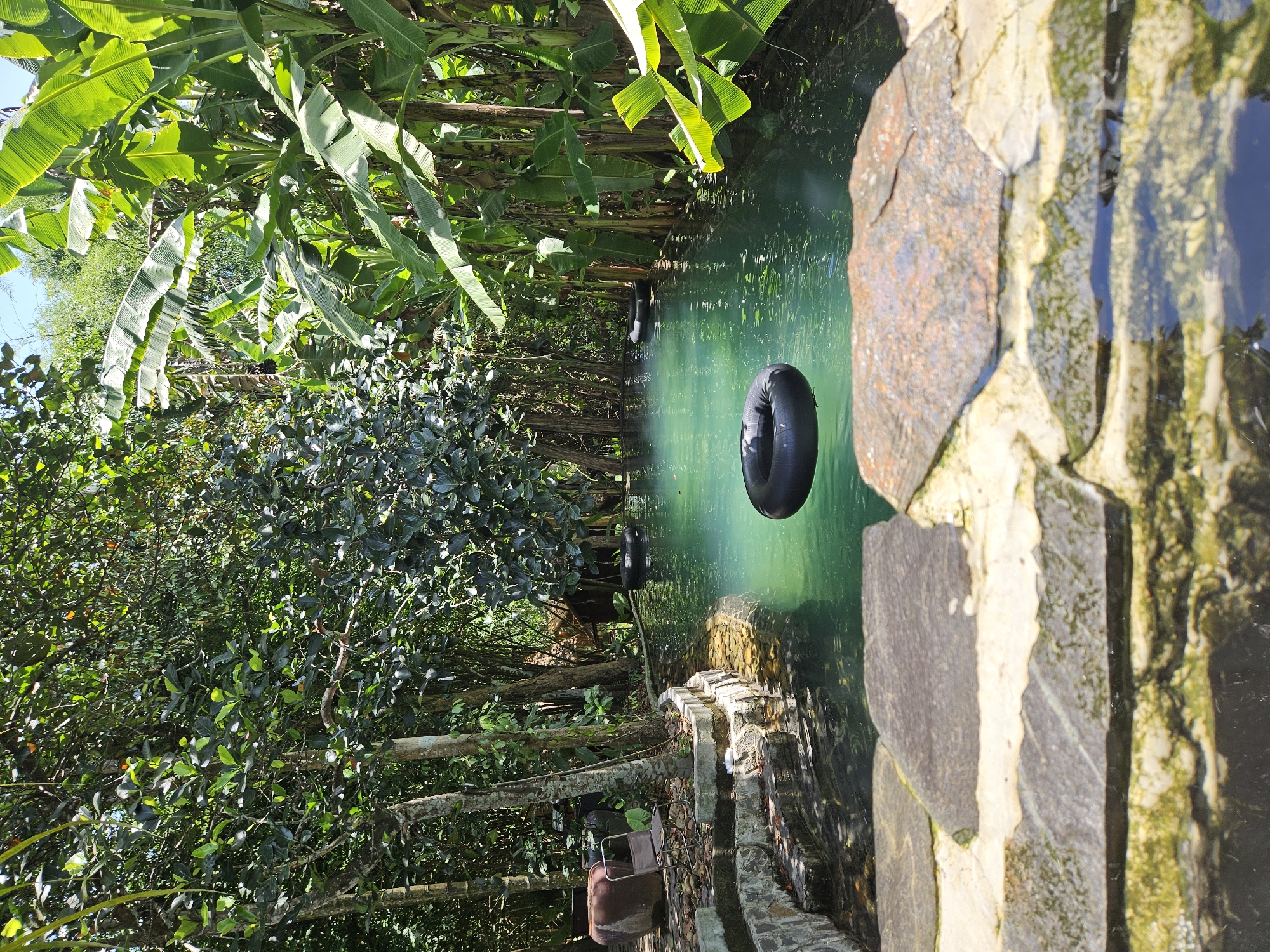 The image depicts a serene natural swimming pool surrounded by lush vegetation, including banana trees and dense foliage. The water is a clear, vibrant green, reflecting the surrounding greenery. Two black inner tubes are visible floating in the water, suggesting a recreational setting. The pool is bordered by stone steps and features large, flat stones at the foreground, partially submerged in water. In the background, there are trees and a rustic wooden structure. The overall atmosphere is tranquil and inviting. This location is identified as Suối Lương Park, a natural attraction located in the Hải Châu District of Đà Nẵng, Vietnam.