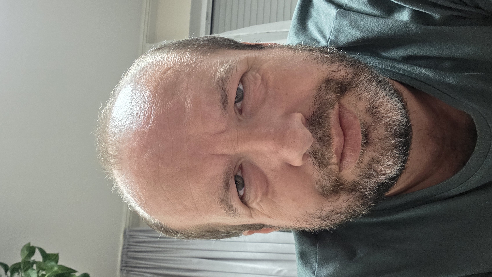 A close-up, selfie-style photograph shows the face of a bald, middle-aged white man with thinning brown hair on the sides of his head. He has a salt-and-pepper beard and is wearing a dark green t-shirt. His eyes are open, and he is looking directly at the camera with a neutral expression. The background is out of focus, but appears to be an indoor setting with curtains and a ceiling light fixture. There are no discernible landmarks or clues to indicate the specific location within Stuttgart, Germany.
