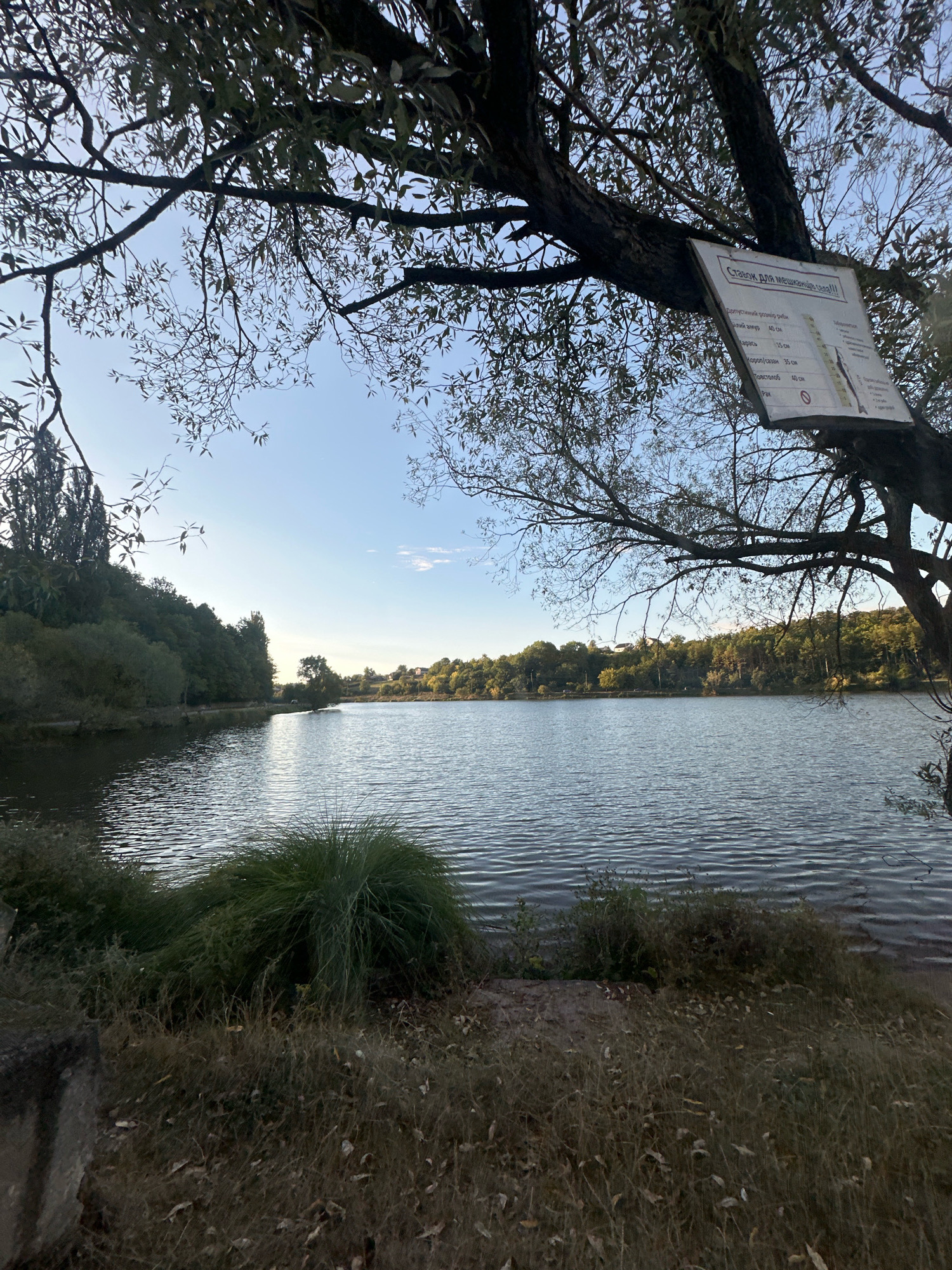 The image depicts a tranquil lake scene on a clear day, with a large tree branch framing the top of the shot. A sign is attached to the tree branch, providing information in Ukrainian. The lake water is calm with gentle ripples, reflecting the blue sky and the surrounding lush green trees. The shoreline is covered with dry grass and some green bushes. In the foreground, to the left, a portion of a concrete structure is visible. The background shows a dense line of trees, with some houses nestled amongst them on the distant hills. The overall impression is one of natural beauty and peace. This scene is located in the city of Makiv, Ukraine.