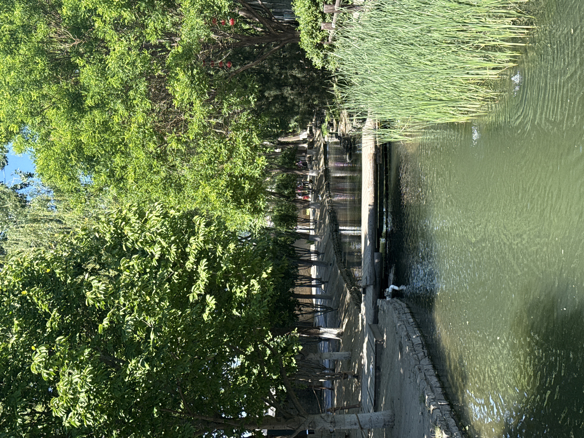 The image depicts a canal in Dongcheng District, China. Lush green trees line the canal's left bank, casting shadows on a walkway with benches. The canal itself is bordered by reeds on the right bank. Water appears murky green. In the distance, there's a structure that may be a bridge or platform over the canal. A white pipe discharges water into the canal near the near right bank. People are observed walking in the distance.