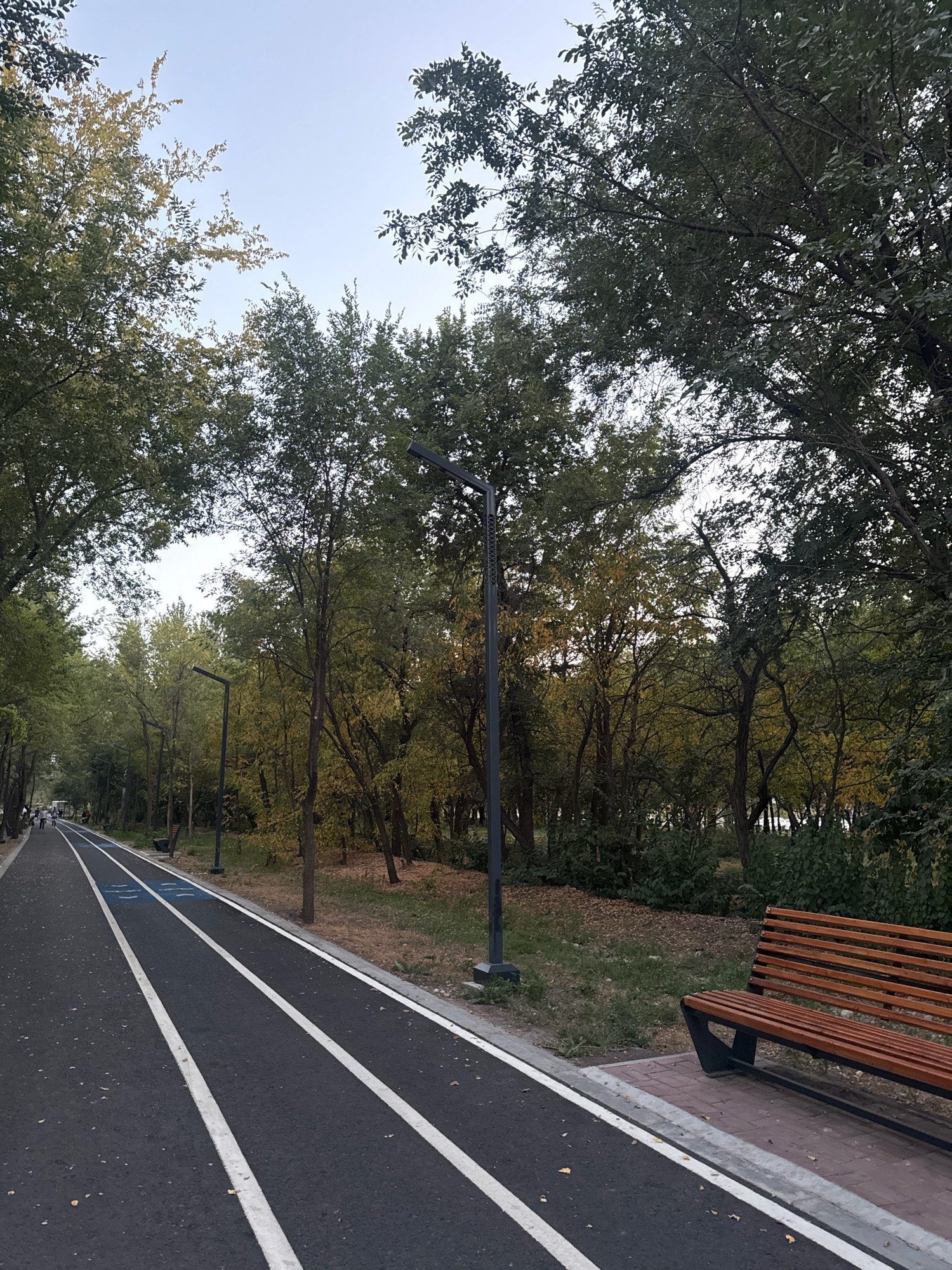 The image depicts a paved pathway in Bishkek City, Kyrgyzstan, likely a park or recreational area, with distinct lanes marked for different activities, possibly cycling and walking, indicated by white lines. Adjacent to the pathway, a wooden park bench is visible. The pathway is lined with trees and greenery, suggesting an outdoor setting. In the distance, a few individuals can be seen on the pathway, engaged in leisurely activities. The overall ambiance is tranquil, indicative of a calm, urban outdoor space. The sky is overcast, suggesting it is either early morning or late afternoon.