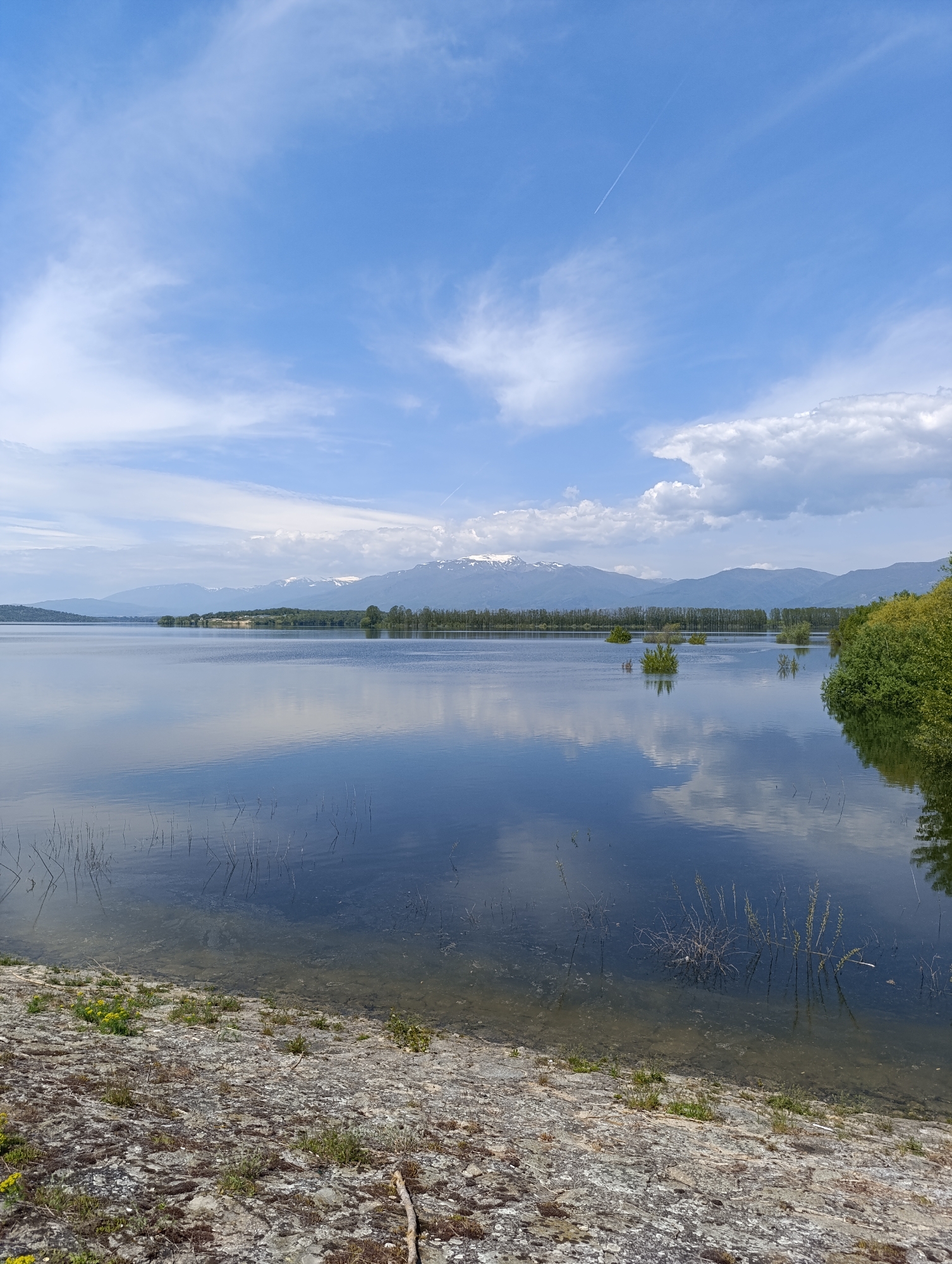The image captures a serene lake scene under a partly cloudy blue sky. The lake's surface is calm, reflecting the sky and distant mountains, some of which are snow-capped. Vegetation, including bushes and some submerged plant life, is visible both within the water and along the shoreline. The foreground consists of a rocky embankment dotted with sparse greenery. A contrail is present in the sky. The location is Unknown, Unknown.