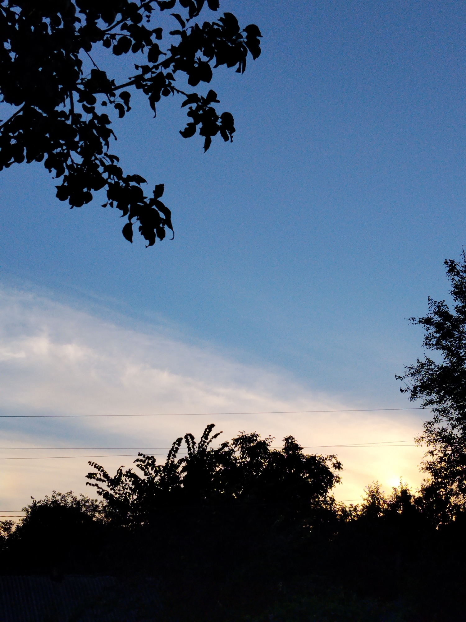 The image depicts a twilight scene with a clear blue sky transitioning to a soft yellow and orange glow near the horizon, indicating either sunrise or sunset. Silhouetted against the sky are the dark outlines of trees with dense foliage. In the foreground, the top of a dark, possibly corrugated, structure is visible. A thin, horizontal line, likely a power line, stretches across the frame, bisecting the sky and the tree line. The overall ambiance is serene and natural, suggesting an outdoor environment. There are no people, animals, or specific urban features identifiable in the image to confirm the location in Ustyvytsia, Ukraine, beyond the user's assertion.