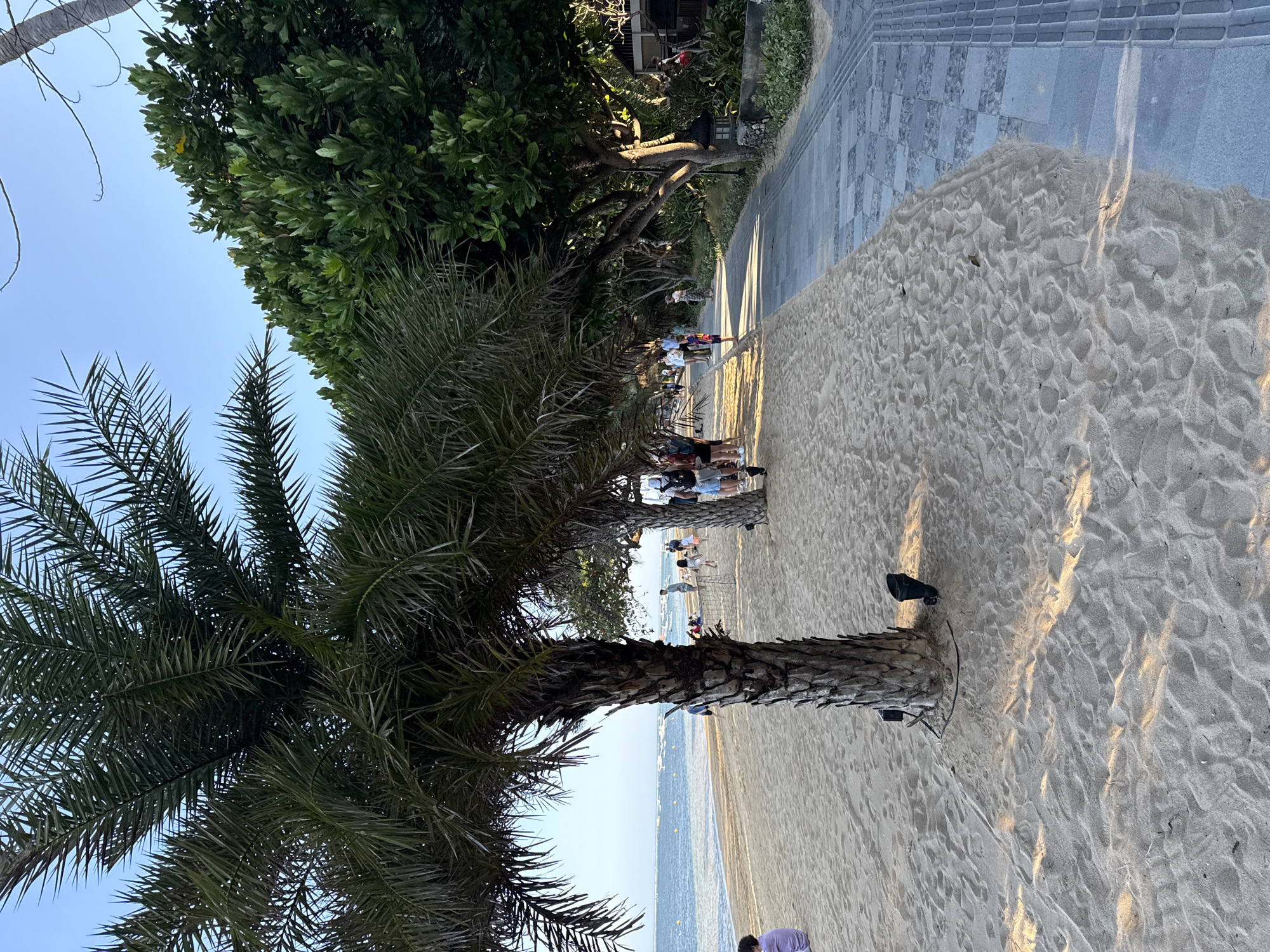 The image captures a tropical beach scene in Denpasar, Indonesia, likely along the coast of Sanur or Seminyak. A prominent palm tree stands in the foreground, its trunk textured and its fronds casting dappled shadows on the sandy beach. To the right, a paved walkway runs parallel to the beach, bordered by lush green trees and vegetation, and further on, hints of buildings. The ocean is visible in the distance, with a calm surface dotted with a few boats. Several individuals are scattered across the beach and walkway, some walking, others standing, suggesting a leisurely afternoon. The lighting indicates it's either early morning or late afternoon, with the sun casting long shadows.