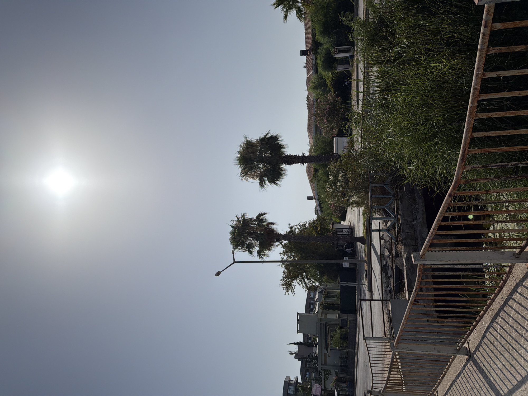 The image shows a bright, sunny day in Kemer, Turkey. The sun is high in the sky, casting strong shadows. In the foreground, a rusted metal railing runs along the edge of a bridge or walkway, casting a striped shadow on the concrete path. Below the railing, a narrow waterway is visible, with lush green reeds growing along its banks.
Across the waterway, a street runs parallel to the foreground. A lamppost stands beside the street, with two palm trees behind it. In the background, buildings and houses with red-tiled roofs are visible, nestled amongst trees and vegetation. The sky is clear and light blue, with no clouds. The overall impression is one of a warm, summery day in a Mediterranean town.