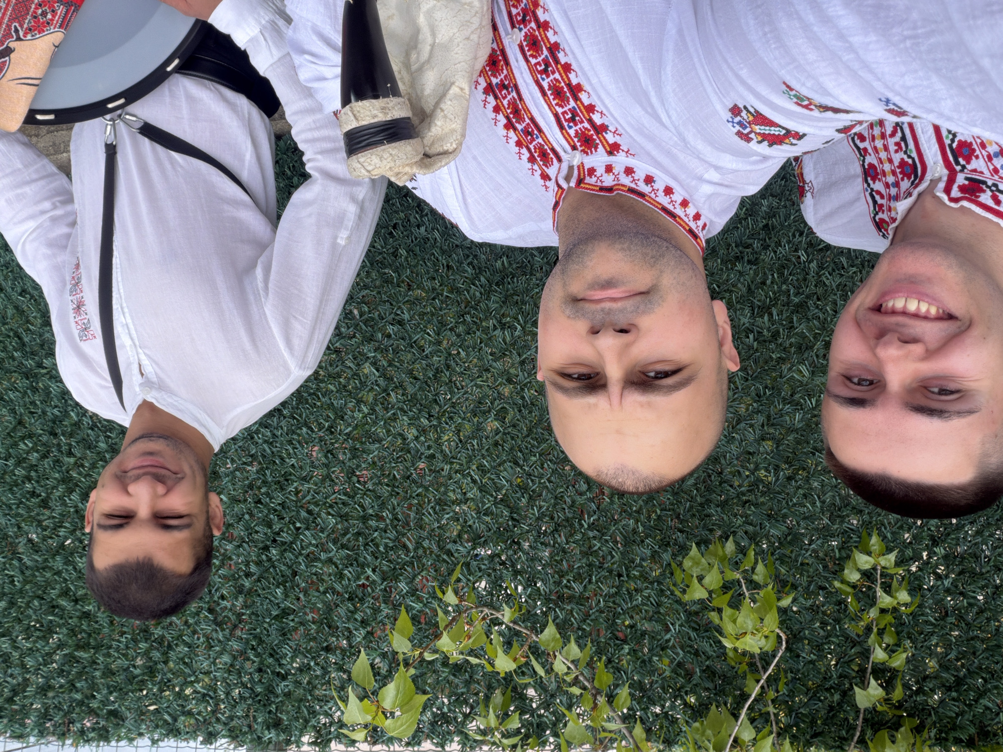 Three men are depicted lying on their backs, with their heads positioned towards the bottom of the frame and their bodies extending upwards. They are set against a backdrop of a dense, dark green artificial hedge or fence designed to mimic foliage. In the lower part of the image, in front of the hedge, natural green leafy branches and vines are visible.
The man on the far left has his eyes closed and a slight smile. The central man looks directly at the camera with a neutral expression. The man on the far right is smiling broadly, revealing his teeth.
All three men are dressed in traditional white long-sleeved shirts, prominently featuring rich red and black embroidered patterns, likely of geometric and floral motifs, along the collar and front placket. These shirts are characteristic of Bulgarian folk attire.
Next to the upper body of the man on the far left, a large, grey, shallow drum (possibly a tupan or davul) with a black strap is partially visible, along with a piece of patterned fabric. Adjacent to the central man's chest is a traditional Bulgarian bagpipe (gaida), identifiable by its dark wooden or horn chanter (gajdunka) and a light-colored fabric bag (meh).
The men appear to be posing for a photograph, likely showcasing traditional Bulgarian folk costumes and musical instruments, suggesting an association with folk music or cultural performance. The overall mood is positive, with smiles ranging from subtle to broad. The bright, even lighting indicates it is daytime. The scene is situated in Rakovski, Bulgaria.