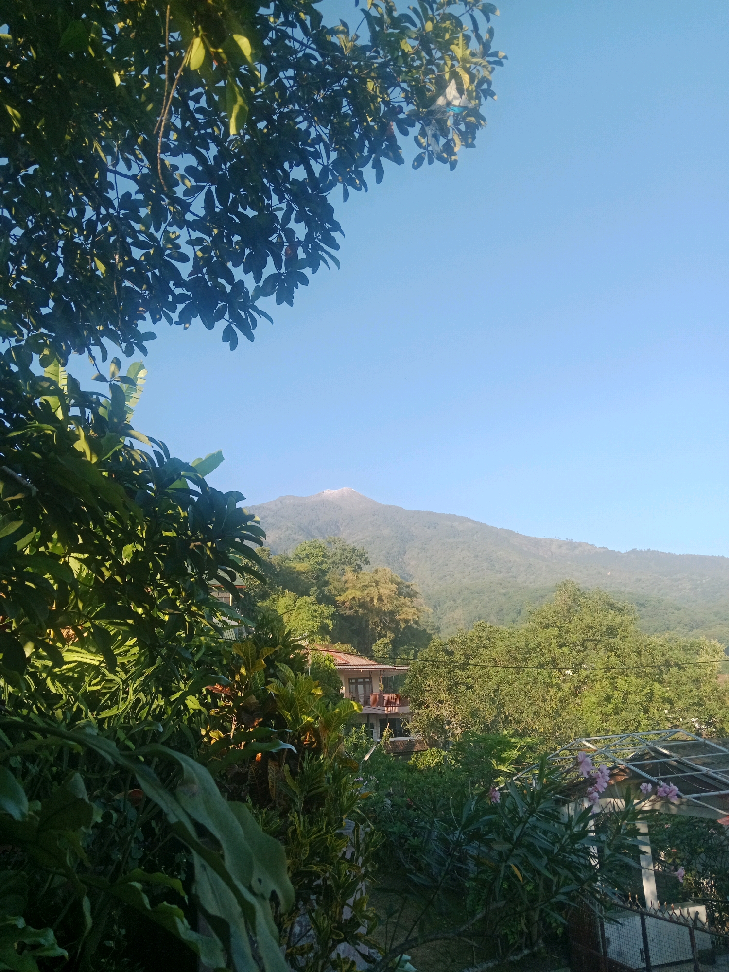The image captures a serene view of a lush green landscape in Prigen, Indonesia, with a clear blue sky overhead. In the foreground, dense foliage with large, dark green leaves dominates the left side of the frame, with sunlight filtering through. Beyond the foliage, a multi-story building with a reddish-brown roof is partially visible. The building features balconies with wooden railings. Further in the background, a large, verdant mountain range rises, its slopes covered in trees. The peak of the mountain is topped with a visible white cap, suggesting it may be snow or a cloud formation. The overall scene depicts a tranquil, natural setting with hints of human habitation.