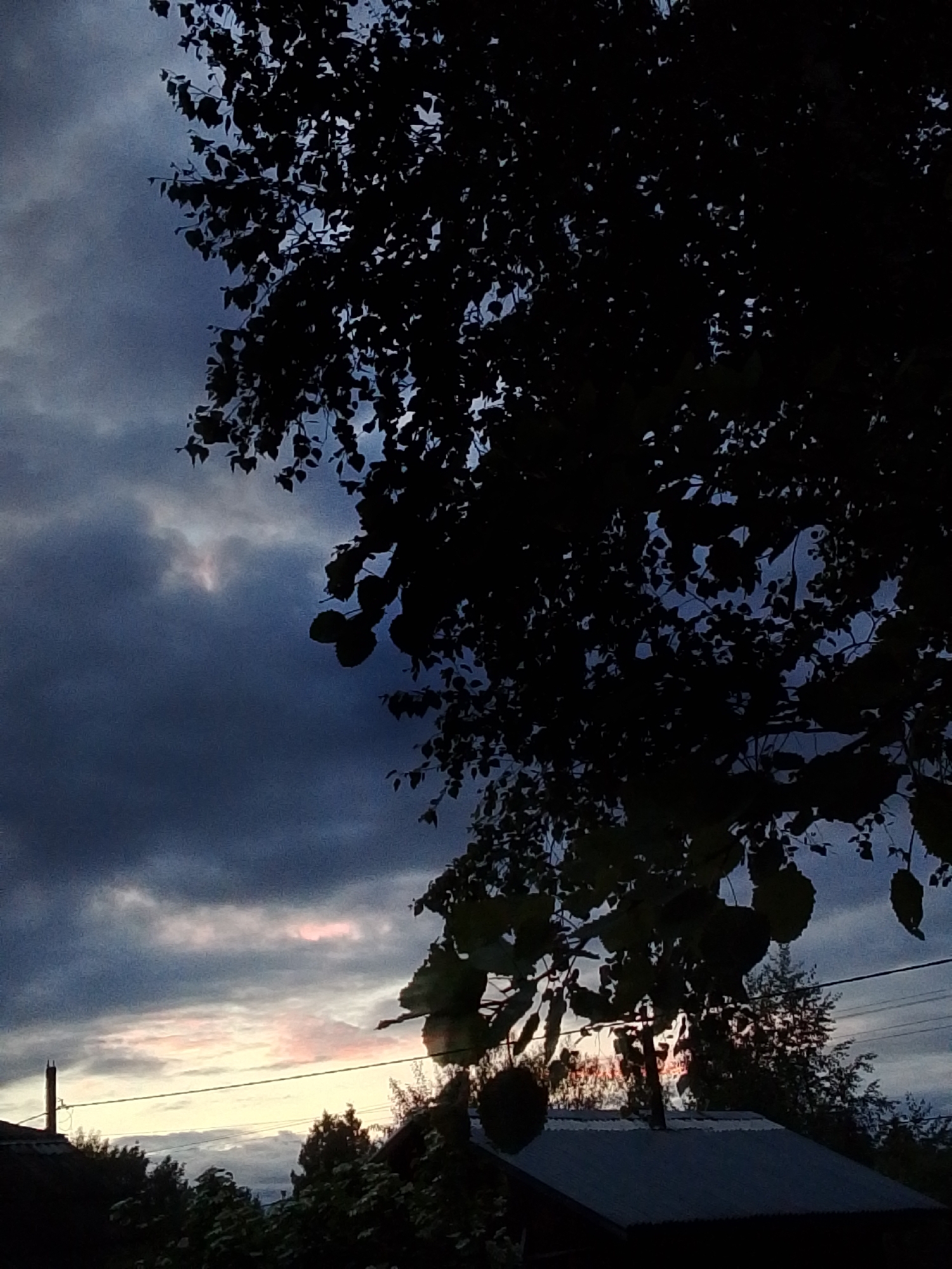 The image shows a view from 1-Go Maya, Russia, at dusk or dawn. A silhouetted tree fills the right side and upper portion of the frame, obscuring much of the sky. The sky, where visible, is filled with dark, textured clouds, with faint hints of pink or orange near the horizon, suggesting either a sunrise or sunset. Below the horizon line, rooftops of houses are visible, along with silhouetted trees and bushes. There's a chimney extending above one roof. Power lines cut across the lower half of the frame. The overall impression is one of a quiet, perhaps rural or suburban, landscape at twilight.