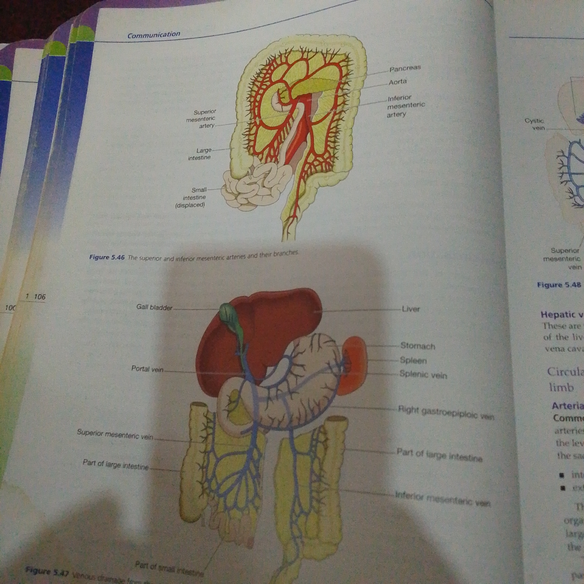This media file is an image of an open textbook, displaying anatomical diagrams of the human digestive system and circulatory system. The pages show detailed illustrations of arteries and veins associated with the intestines, pancreas, spleen, and liver, along with their labels. One diagram focuses on the superior and inferior mesenteric arteries and their branches, while another illustrates the venous drainage from the intestines, including the portal vein and superior mesenteric vein. There is also a smaller diagram depicting the cystic vein. Textual elements include chapter titles like "Communication," figure numbers (Figure 5.46, Figure 5.48, Figure 5.47), and labels identifying various organs and blood vessels. The image also shows page numbers "1 106" and "100" and a small snippet of text mentioning "Common arteries". The setting appears to be a study or library environment, suggested by the presence of multiple pages of a textbook. There are no people, animals, or any indication of time of day, weather, or specific location cues, aside from the context of a Nigerian setting for the query. The overall tone is educational and informative.
