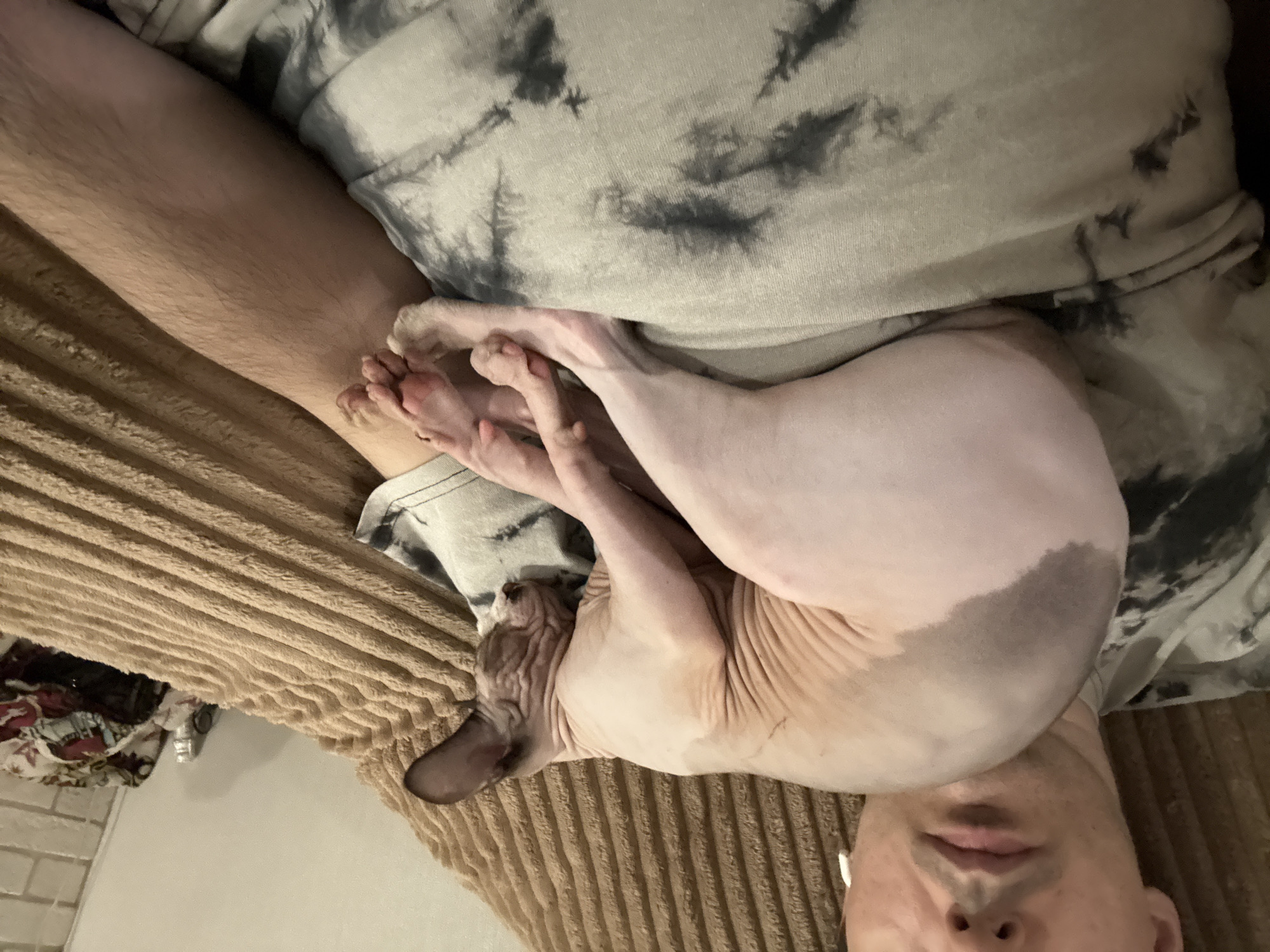 A hairless cat sleeps on the chest of a person lying on a ribbed brown couch. The cat's body is pinkish-white with darker grey patches on its back and head, and it is curled up with its head resting on a grey tie-dye t-shirt. The person's face is visible in the upper left corner, and their arm is also in the frame, showing leg hair. The background consists of the couch and a wall with some decorative items. The scene appears to be indoors, in a domestic setting.