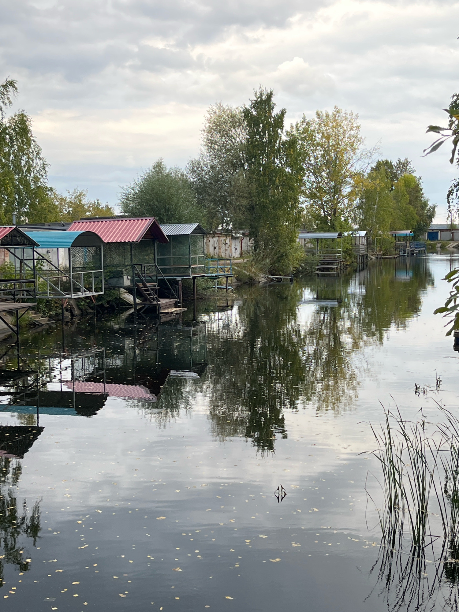 The image depicts a waterfront scene with several small gazebos or fishing huts constructed on stilts over the water. These structures have various colored roofs, including red, blue, and silver. The water is calm and reflects the sky, trees, and structures, with scattered leaves floating on the surface. Tall reeds grow along the right bank of the water. In the background, there are trees with foliage in shades of green and yellow, suggesting an autumn setting, and some buildings with industrial-looking elements. The sky is overcast with gray clouds. The location is identified as the Kama River embankment in Chaikovsky, Russia. No people are visible in the image.