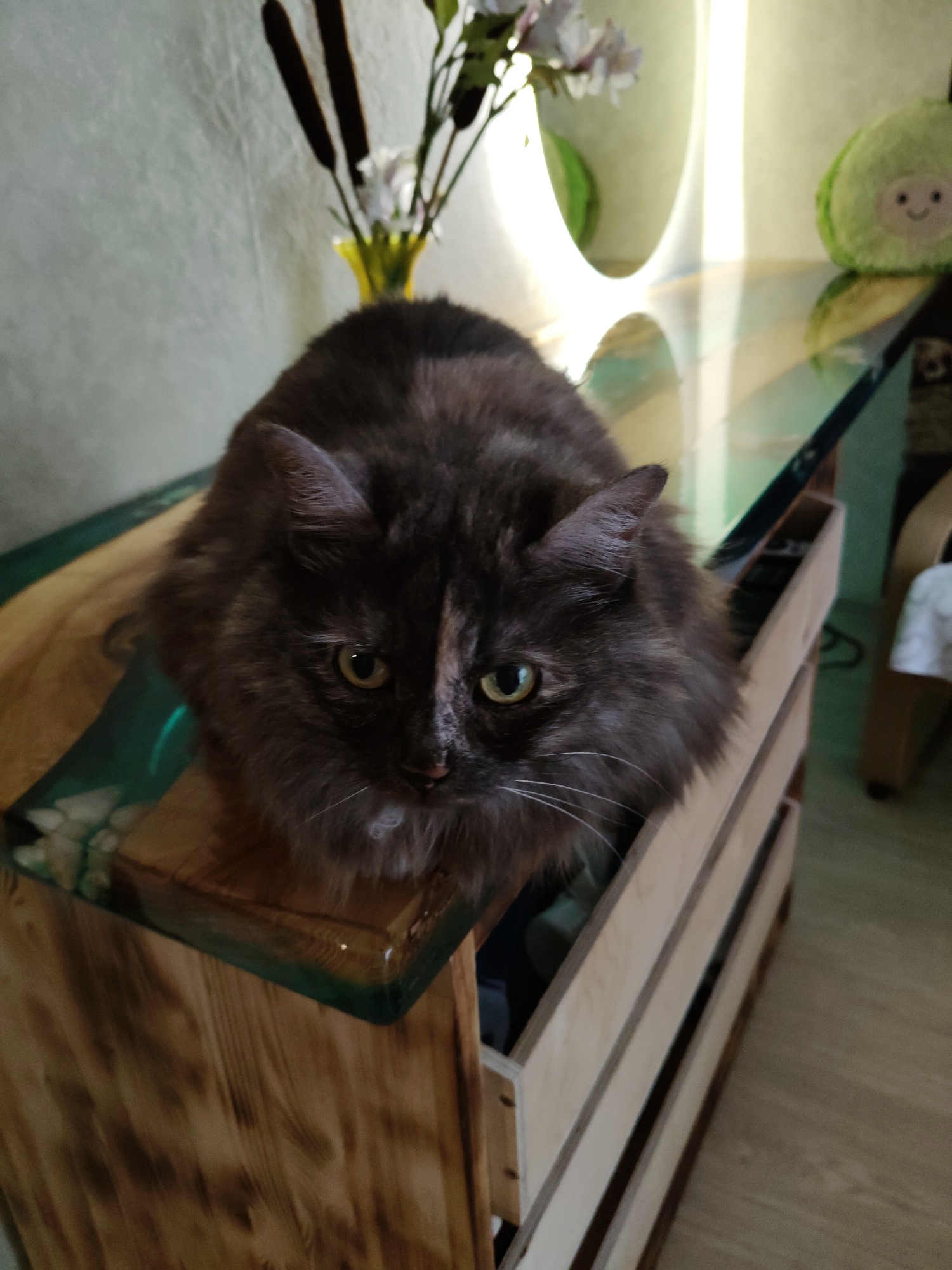 A fluffy tortoiseshell cat with yellow-green eyes sits on a wooden surface with a resin top. The cat is facing forward and looking at the camera. The background includes a wall, a vase with flowers, a plush toy, and part of a wooden crate. The scene appears to be indoors. There is no information in the image to indicate the location in the city of Bol'shoye Kozino, Russia.