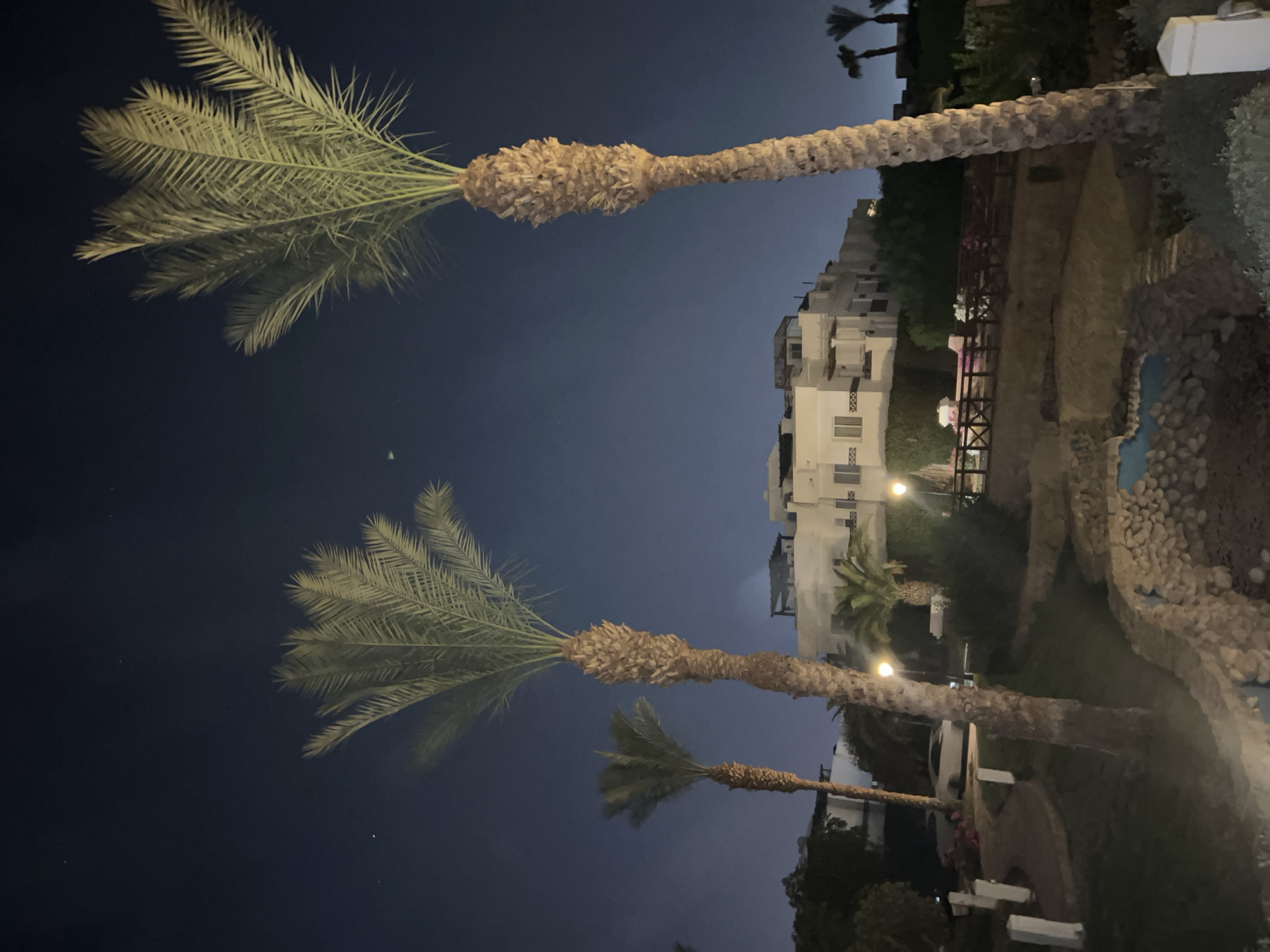 The image depicts a night scene in Sharm El Sheikh, Egypt, likely at a resort or residential complex. Several tall palm trees are prominent in the foreground, their fronds silhouetted against a dark, star-speckled sky. Behind the palm trees, a multi-story building complex with white facades and balconies is visible, illuminated by artificial lights. The building appears to be a hotel or apartment building. In the mid-ground, there is a landscaped area with pathways, low stone walls, and what appears to be a small water feature or pond. Wooden fences and scattered lighting fixtures are also present in this area. The overall impression is of a well-maintained outdoor space at night, typical of a tourist destination in Egypt. No people or animals are discernible in the image. The environment is characterized by a warm climate, suggested by the presence of palm trees.
