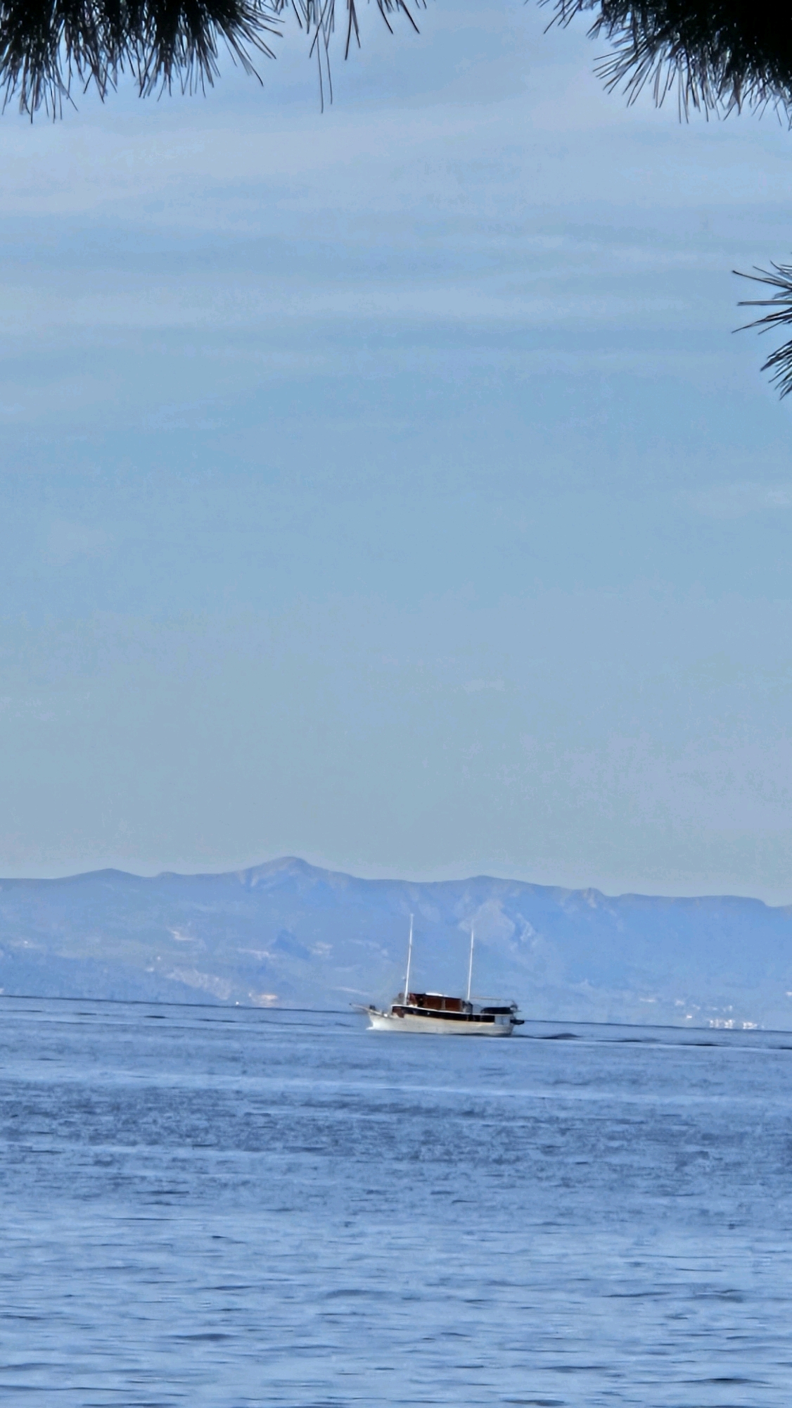A boat with two masts sails across a calm, blue sea. In the background, a range of blue-hued mountains rises against a pale blue sky. Pine branches frame the top of the image.