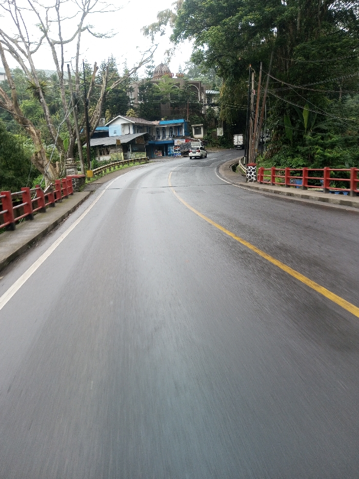 The image depicts a wet, two-lane asphalt road curving to the right through a densely vegetated, hilly environment in the city of YonPhoogla, Bhutan. The road features a solid white line on its left shoulder and a solid yellow center line. Red metal guardrails line both sides of the road, indicating an elevated section or bridge, with a concrete pillar displaying a black-and-white spotted pattern visible on the right.
On the left hillside, a cluster of buildings is observed, including smaller multi-story structures with light blue and white facades. Higher up the slope, a larger, ornate building with a prominent domed roof is partially visible amidst the trees, with faint text resembling "ZUO ZI" on its facade. Bare, intricate tree branches are prominent on the left, contrasting with the lush green foliage and evergreens covering the hillsides. Numerous wooden utility poles with overhead lines are present on the left side of the road.
On the road, a white pickup truck is proceeding around the curve in the right lane, followed by a partially visible larger white truck further down the road. No individuals are visible. The environment appears damp under an overcast sky.