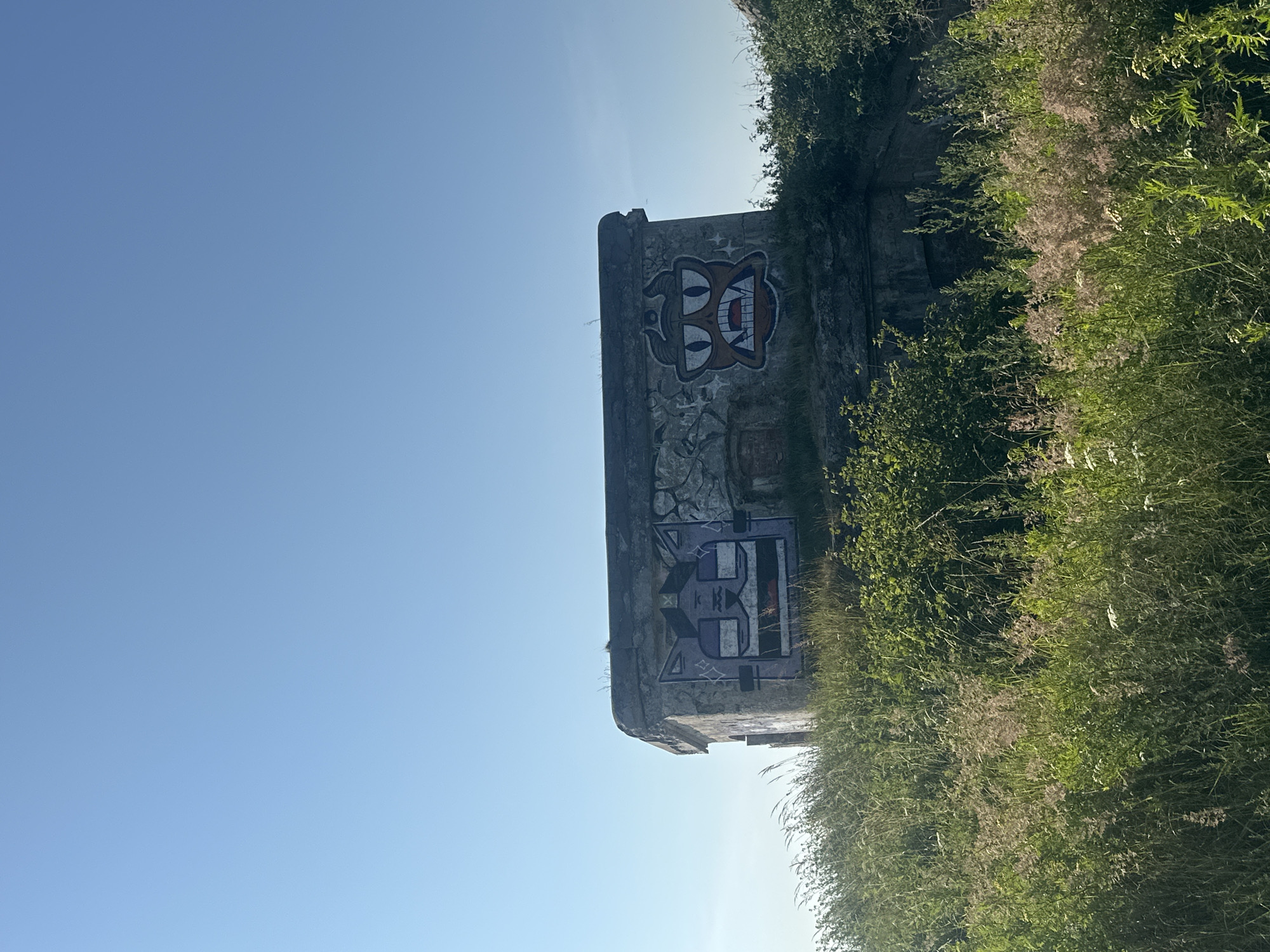 An exterior, eye-level, vertical shot captures a concrete structure on a grassy knoll under a clear blue sky. The structure, possibly a bunker or pillbox, is adorned with two large, cartoonish graffiti faces. The left face is purple and stylized like a cat, with triangular ears and a wide mouth. The right face is orange and resembles a monster, featuring large eyes, prominent fangs, and horns. The structure is situated in Liepaja, Latvia, specifically at the Liepaja Northern Forts (Ziemeļu forti). The surrounding environment is overgrown with tall grasses and dense green foliage, indicative of an outdoor, natural setting. The lighting suggests daytime, with sunlight casting no prominent shadows, hinting at midday or overcast conditions. There are no people visible in the frame.