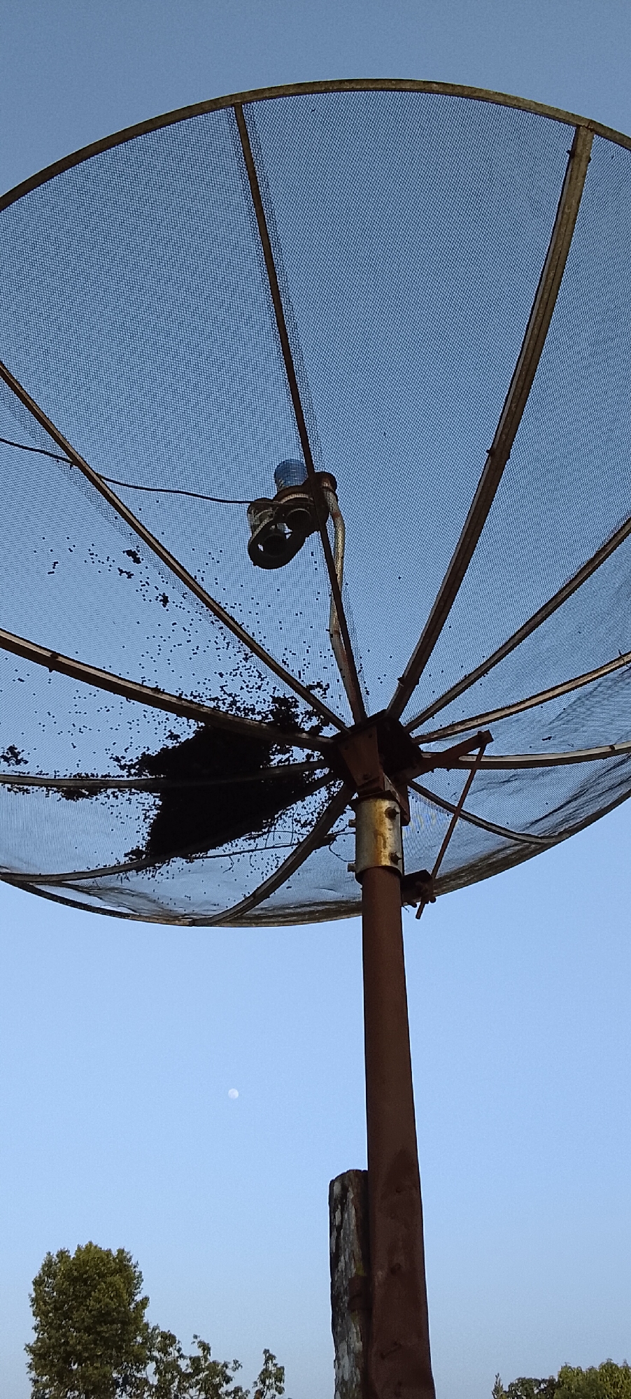 This is a low-angle, close-up, outdoor, daytime photograph of a rusty, satellite dish. The dish is made of mesh and is supported by a thick, rusty pole. Some dark debris is accumulated on the dish's surface. In the background, a clear blue sky is visible, with a small, pale moon present in the upper left quadrant. The lower portion of the image shows the tops of trees and foliage, indicating an outdoor setting. The presence of a satellite dish suggests a residential or communication hub area. The scene is likely set in the village of Padang Dalom, Indonesia, given the context.