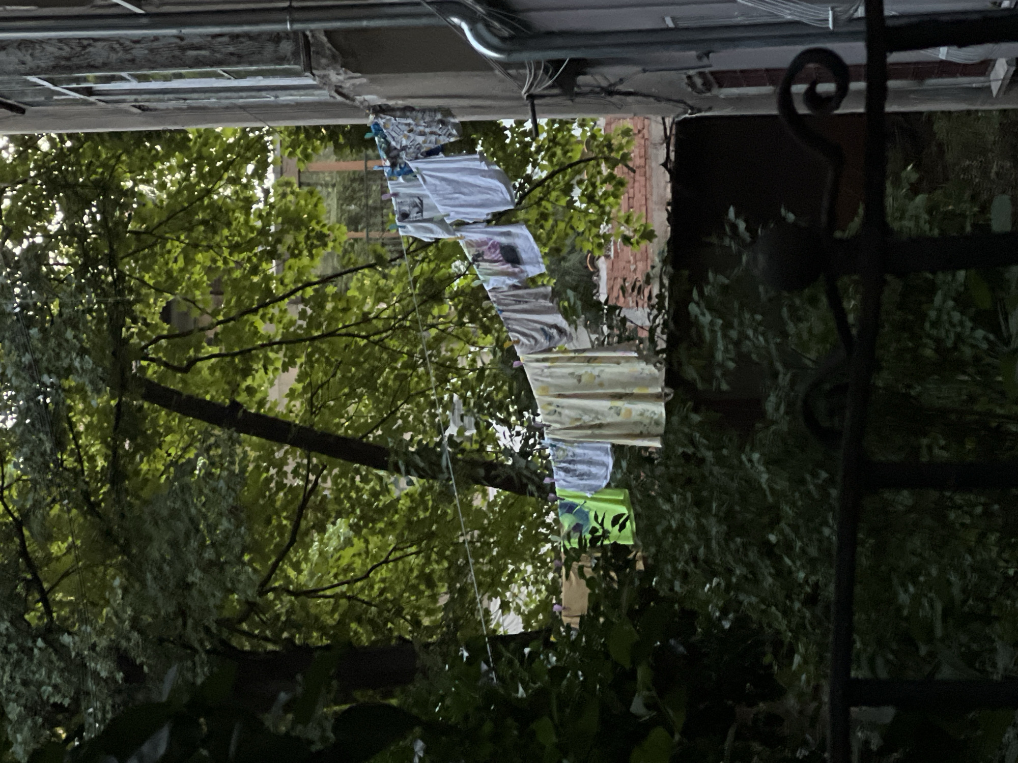 This image depicts an outdoor scene, likely a courtyard or alleyway, in the city of Sofia, Bulgaria. In the foreground, a dark metal railing runs horizontally across the bottom of the frame, partially obscuring a dense collection of dark green foliage. Above the railing, a clothesline stretches across the mid-ground, strung with various items of laundry. These include several white t-shirts, a yellow-patterned fabric, a bright green garment, and a few other unidentifiable pieces of clothing. The laundry is secured to the line with clothespins. Behind the clothesline, a large tree with abundant green leaves dominates the left and center portions of the image, its branches extending upwards and outwards. Sunlight filters through the leaves, creating dappled light. To the right of the tree, a portion of a building is visible, characterized by a textured, weathered facade and a tall window with multiple panes. A metallic pipe or conduit runs vertically along the side of this building. In the background, more foliage and the reddish-brown tile roofs of other structures can be observed. The overall impression is one of a residential urban environment with elements of everyday life, such as laundry drying outdoors, set against a backdrop of greenery and older architecture.