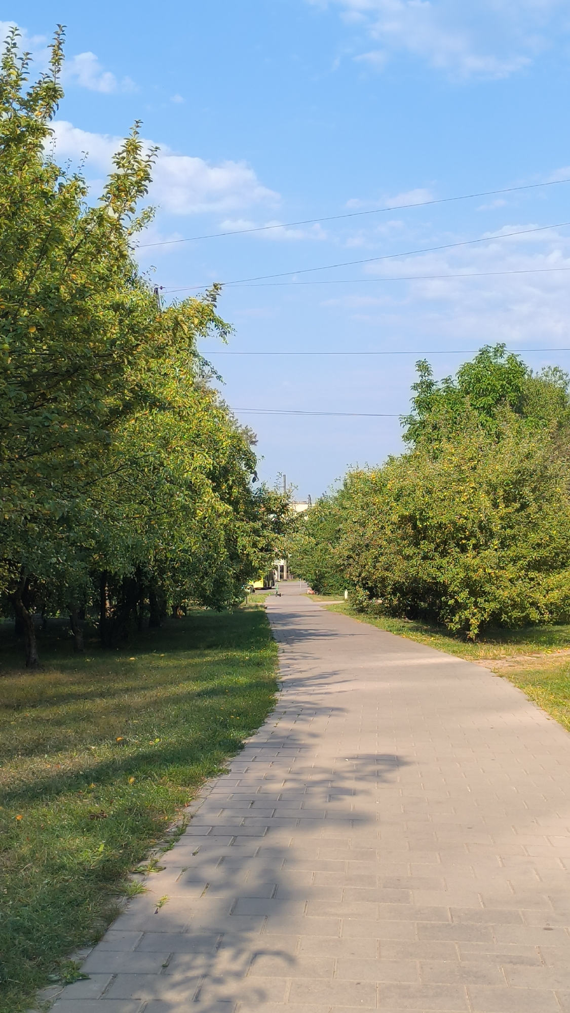 The image depicts a paved walkway bordered by lush green trees on both sides, leading into the distance. The sky is a clear blue with scattered white clouds. The trees are full of leaves and some appear to have small yellow fruits. On the left side of the walkway, there is a grassy area with some fallen leaves. On the right side, further down the path, a person on a scooter is visible. In the background, there are buildings and power lines. The lighting suggests it is daytime, likely late morning or early afternoon, with shadows cast by the trees on the walkway. This scene is consistent with a park or a tree-lined street within the city of Lviv, Ukraine, given the architectural style of the distant buildings and the general urban park aesthetic.