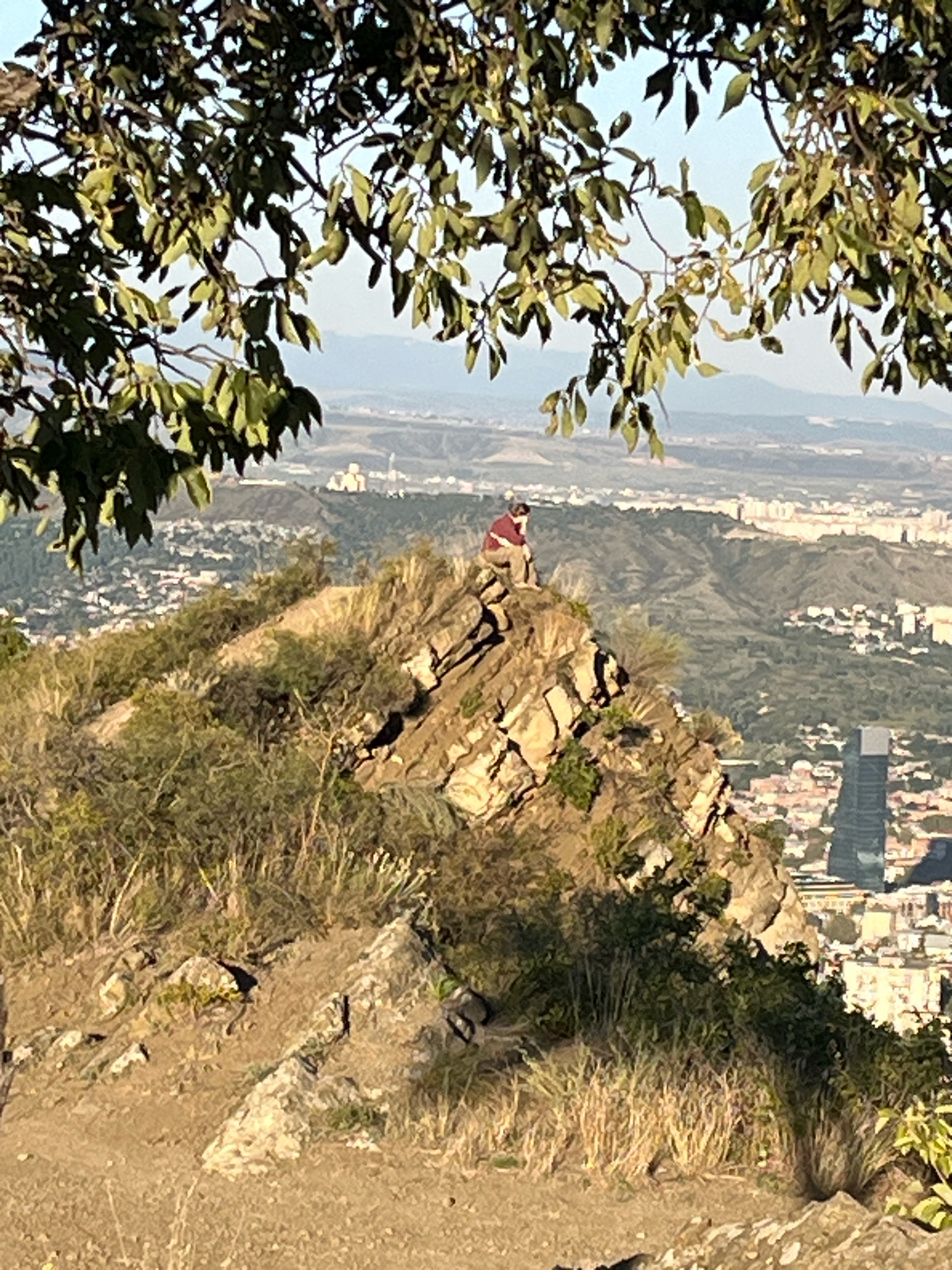 A person in a maroon shirt and light-colored pants sits on the edge of a rocky outcrop, overlooking the city of Tbilisi, Georgia. The outcrop is covered in dry grass and shrubs. In the background, the city sprawls across rolling hills, with buildings of various sizes and styles, a prominent modern skyscraper, and a white domed structure on a distant hilltop. Lush green trees with dappled sunlight filter the foreground, framing the expansive view.
