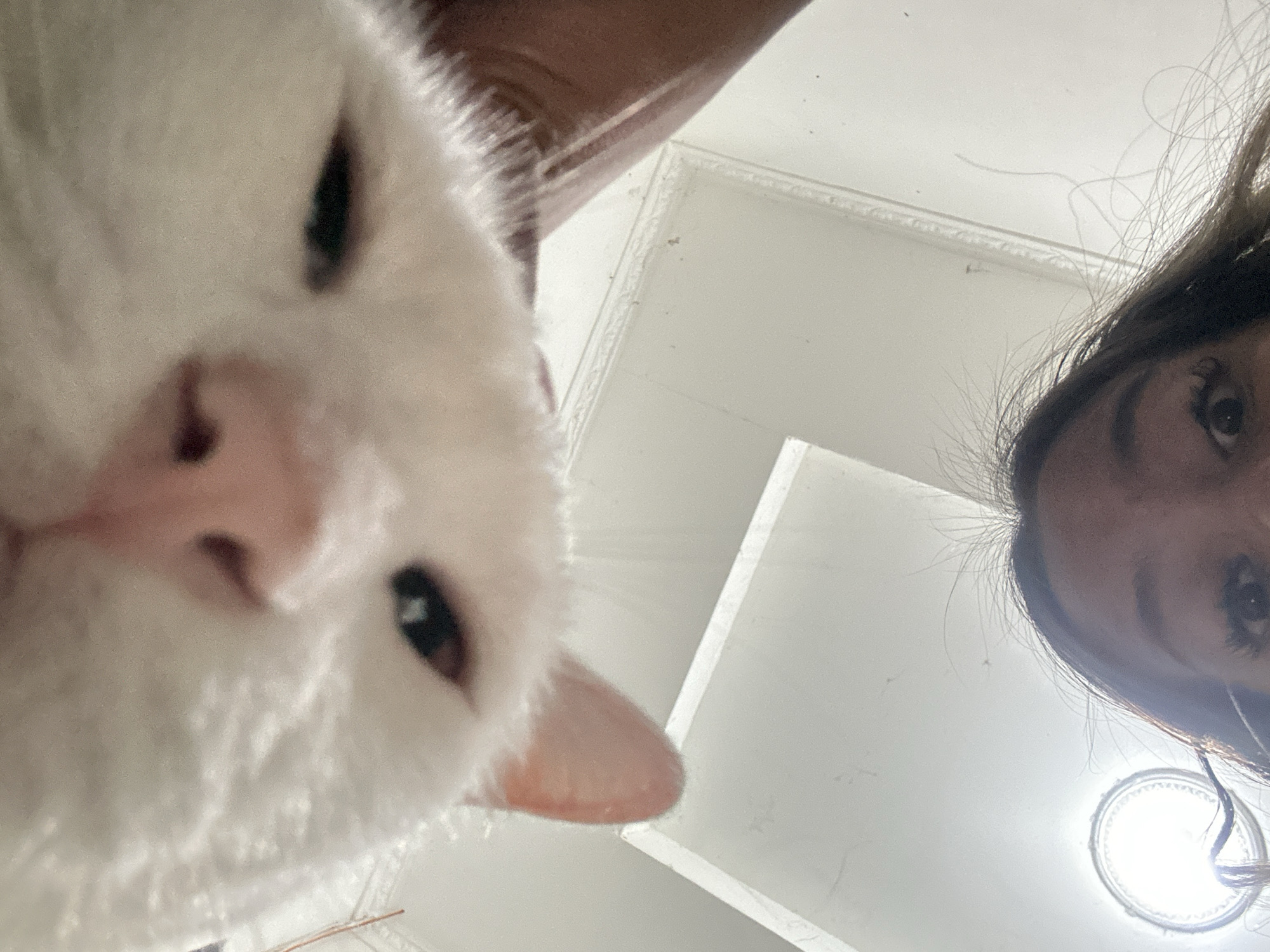 The image shows a close-up view from below, capturing a white cat's face and a partial view of a person's face. The cat's face dominates the left side of the frame, showcasing its pink nose, black eyes, and white fur. The person's face appears on the right side, with focus on the eyes and hair. The background consists of a white ceiling. There is no information to determine if the image was taken in North Jakarta, Indonesia.