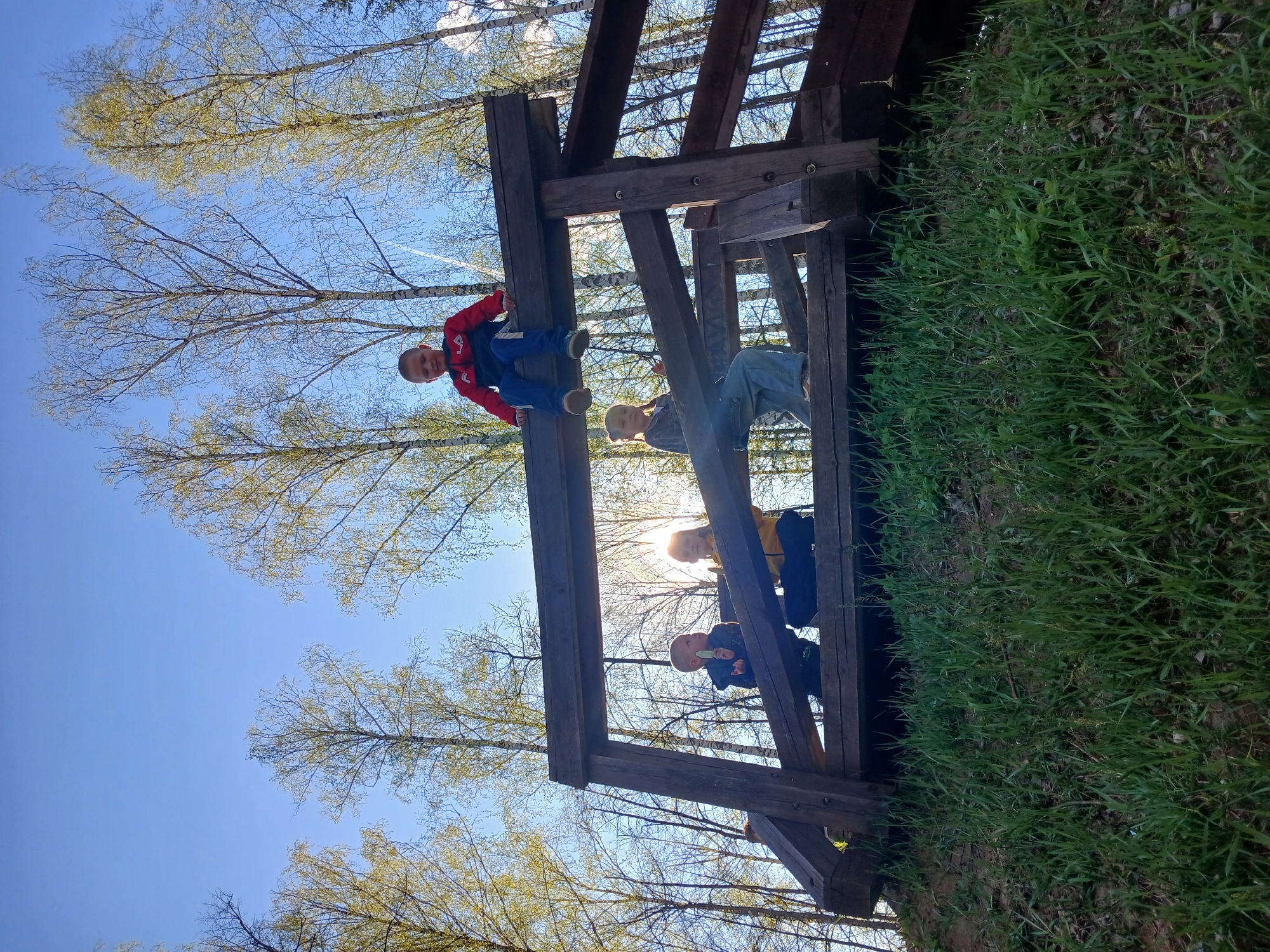 Four children are positioned on a wooden structure resembling a bridge or climbing frame. The first child, wearing a red and blue jacket with blue jeans, is at the top left, hanging onto a wooden beam. The second child, wearing a light-colored shirt and blue jeans, is situated to the right and slightly below the first child. The third child, wearing a yellow shirt and dark pants, is positioned below the second, partially obscured by sunlight. The fourth child, wearing a dark blue jacket, is at the bottom right. The background consists of trees with budding leaves and a clear blue sky. The ground is covered with green grass. The image appears to be taken in a park or natural setting in Noviy, Russia.