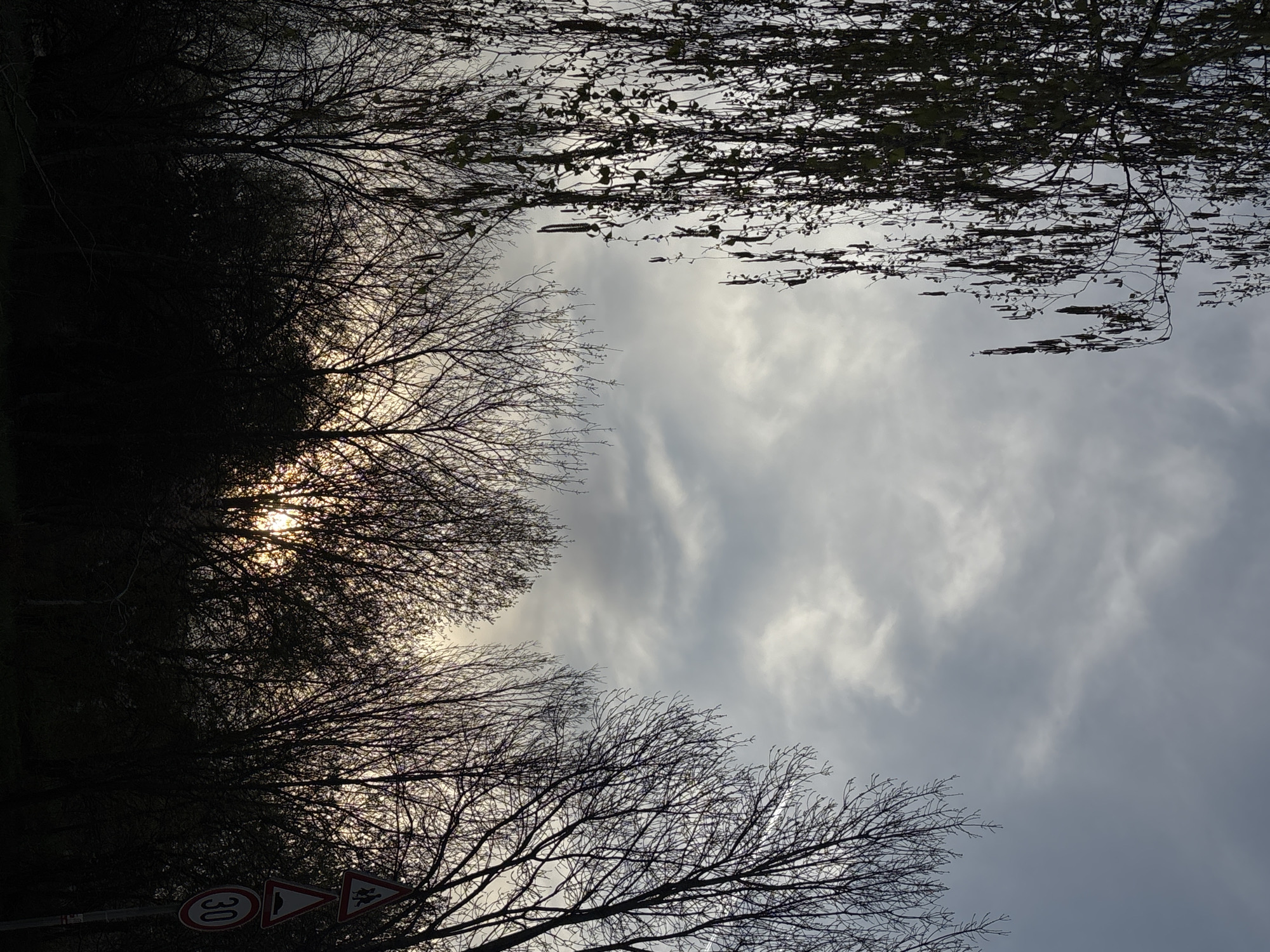 The image depicts a sky view framed by tree branches in Sofia, Bulgaria. The sky is overcast with a mix of light and dark clouds. Bare tree branches are visible in the foreground and near the top of the frame. The sunlight is faintly visible through the trees. At the bottom left corner, road signs are present including one showing the number 30 in a red circle.