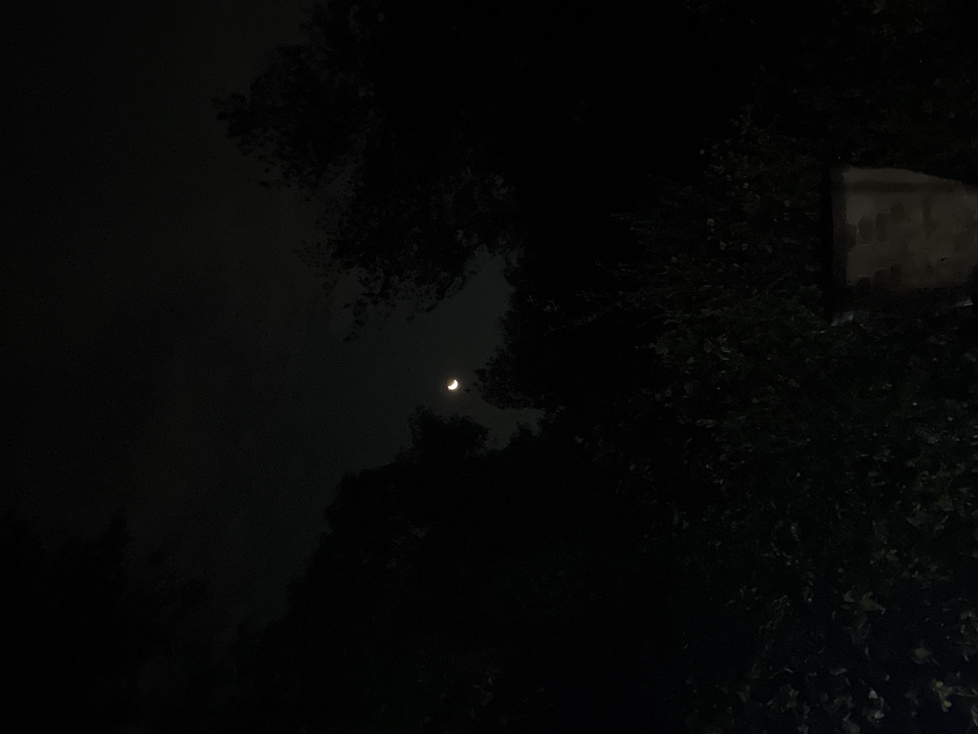 The image presents a night scene in Cañada de Madero, Mexico. A crescent moon is visible in the dark sky, partially obscured by tree branches. The surrounding environment is shrouded in darkness, with some undefined structures or objects discernible amidst the trees.