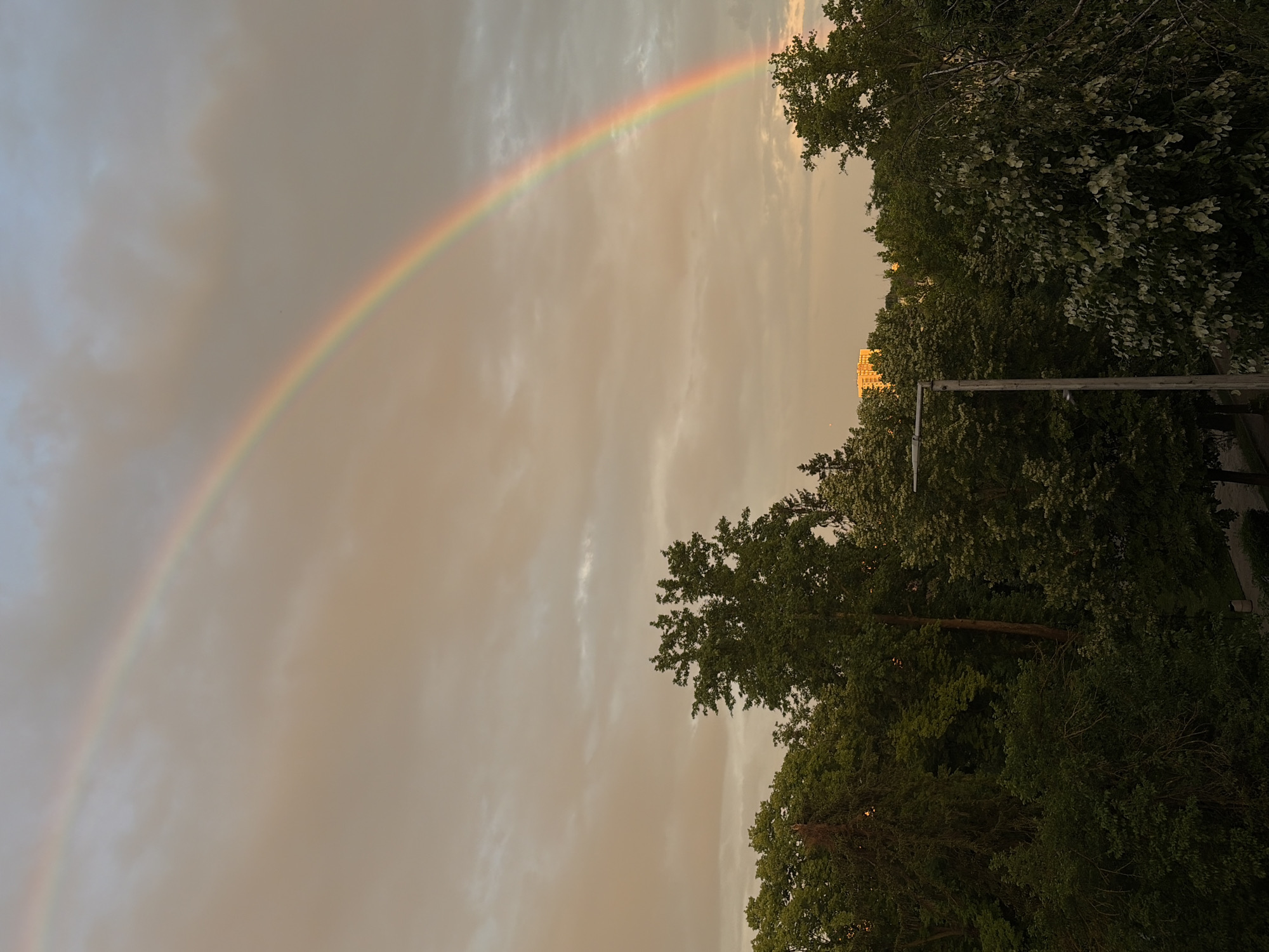 The image depicts a broad, arcing rainbow against a cloudy, warm-toned sky over an urban landscape dominated by dense tree cover. The sky, occupying the upper two-thirds of the frame, features stratocumulus clouds with hues ranging from muted orange-brown to soft grey-blue, indicating either sunrise or sunset. A prominent, vibrant primary rainbow extends from the upper left quadrant downwards towards the mid-right horizon, its colors distinctly visible from red (outer) to violet (inner). A fainter secondary rainbow is subtly present above and to the left of the primary. The lower portion of the image is filled with a thick canopy of deciduous trees with dark green foliage, some exhibiting lighter green or whitish leaves. In the mid-ground on the right, a multi-story, rectangular building with a yellow-orange facade is visible above the tree line, illuminated by the warm light. A dark grey, utilitarian light pole stands in the lower center-right foreground, partially obscured by foliage. Below the trees, glimpses of a paved path or road and scattered shorter vegetation are discernible. There are no individuals or animals present in the scene. The location is an unspecified area within the city of Unknown, Unknown.