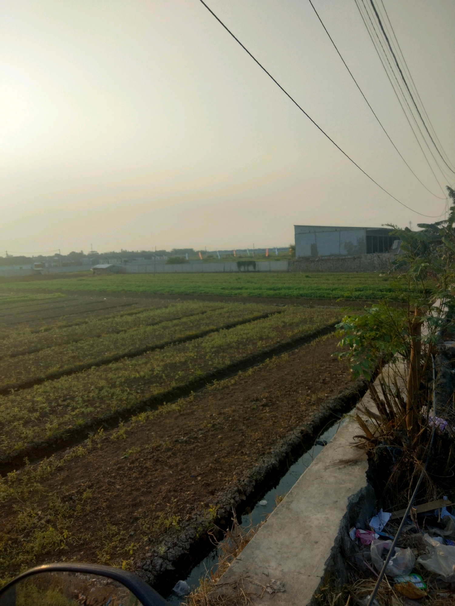 The image shows an agricultural field in Suka Sari, Indonesia, under a hazy sky. In the foreground, there are rows of crops and a narrow drainage ditch. A concrete structure, possibly a walkway or retaining wall, runs along the edge of the ditch. To the right, there is a dense clump of vegetation and some scattered debris, including plastic bags. In the middle ground, more fields are visible, some with green vegetation. In the background, there is a low-rise building with a light-colored facade and a dark-colored roof. Beyond that, a line of houses and trees can be seen, suggesting a residential area adjacent to the agricultural land. Overhead, several power lines crisscross the sky. The overall impression is of a rural or semi-rural environment on the outskirts of a settlement.