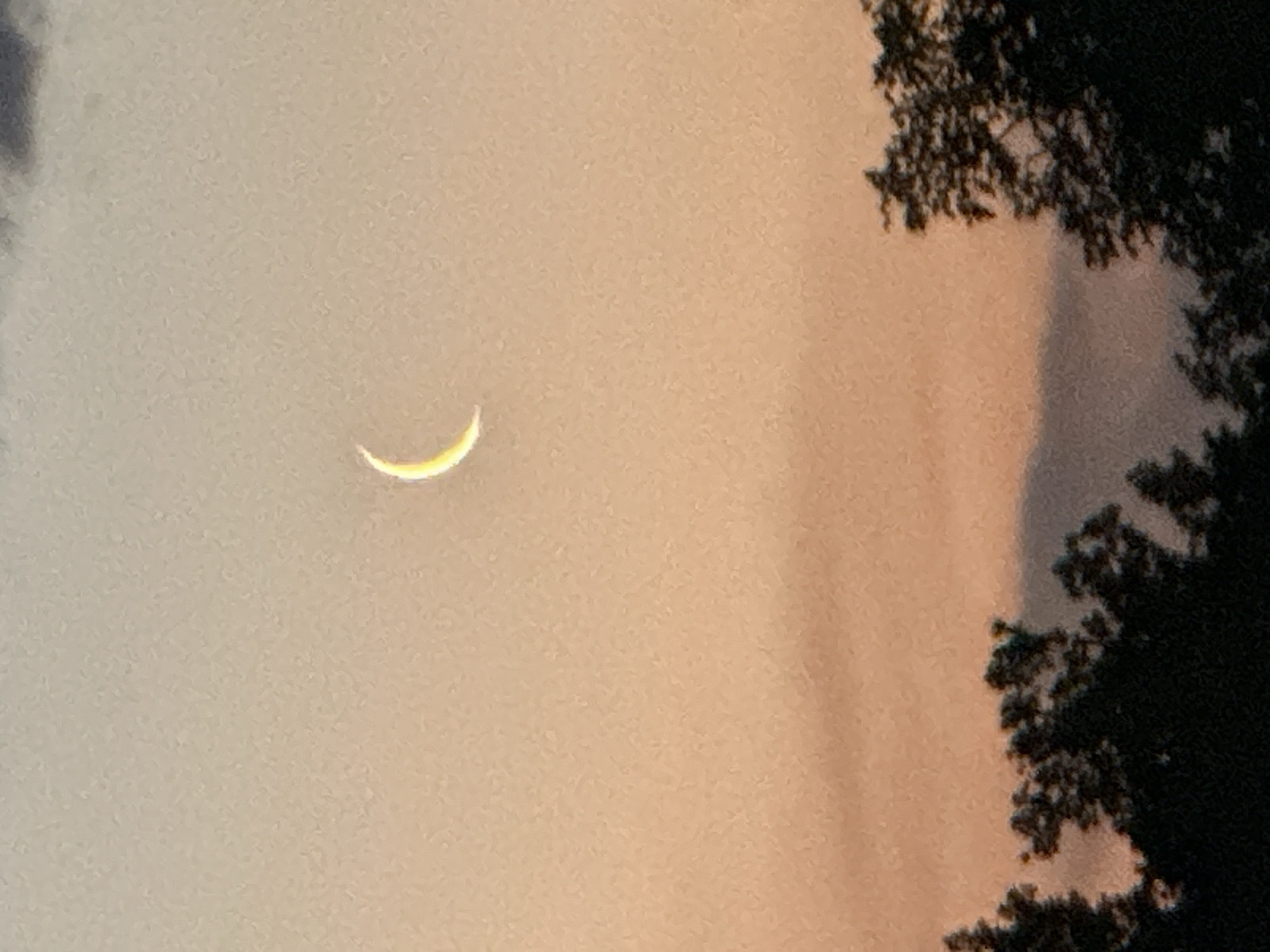 The image captures a crescent moon in a twilight sky. The sky is a gradient of soft oranges and grays, with a few wispy clouds. Silhouetted against the sky are the dark, jagged outlines of treetops in the foreground. The moon, a bright yellow sliver, is positioned in the upper central portion of the frame. The overall impression is a serene, natural scene. No specific location in Nizhny Novgorod, Russia can be identified from the image.