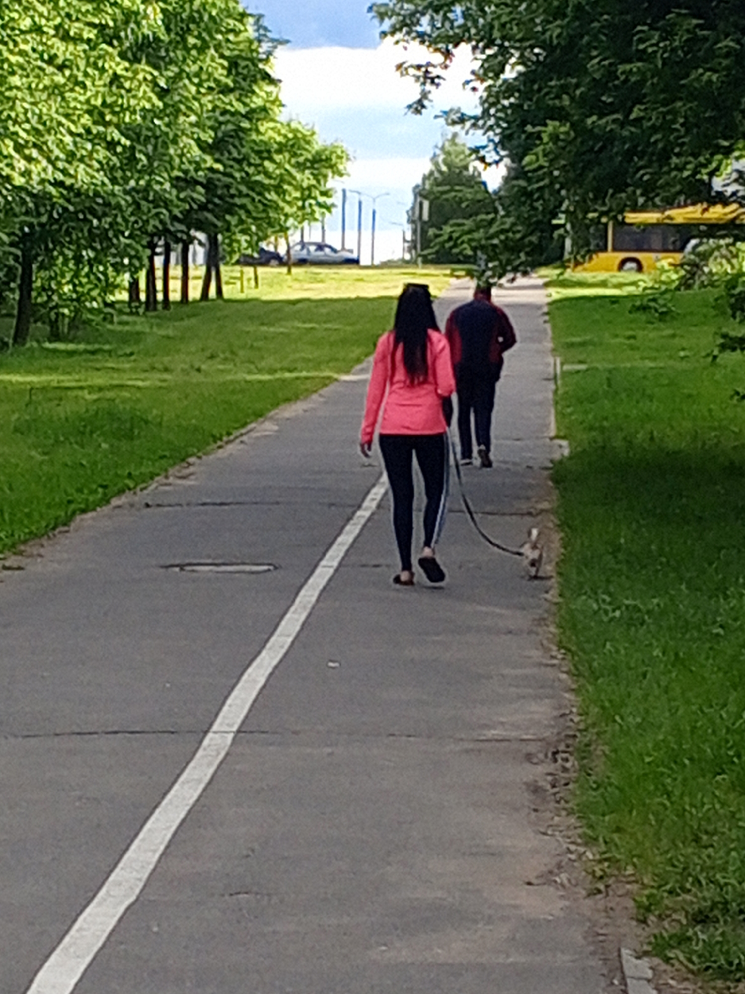 The image displays an outdoor scene featuring a paved pathway flanked by green grass and trees under what appears to be a clear sky. Two individuals and a small dog are walking away from the viewer on the pathway.
In the foreground, a grey asphalt pathway with a distinct white diagonal line runs from the lower left towards the upper right of the frame, indicating a division or lane marking. Green grass areas are visible on both sides of the pathway.
A person with long, dark hair, wearing a coral-pink long-sleeved shirt, black leggings with a white stripe along the outer seam, and dark sandals or flip-flops, is positioned on the left side of the path, walking away from the camera. This individual holds a black leash connected to a small, light-colored (tan and white) dog, which walks on the right edge of the path near the grass.
Behind and to the right of the first person, a second individual, wearing a dark (possibly navy or black) long-sleeved top and dark pants, is also walking away from the camera on the right side of the pathway.
To the left of the path, a continuous line of trees with dense green foliage extends into the midground. Additional trees and green vegetation are present on the right side of the pathway.
In the background, on the left side, several parked vehicles, including at least one dark sedan and a lighter-colored vehicle, are visible through gaps in the trees. On the right side of the background, a yellow bus is partially obscured by foliage. Utility poles are discernible against the distant sky, which is light blue with some white cloud formations. The paved surface of the pathway shows minor cracks and a circular manhole cover is visible near the center-left.