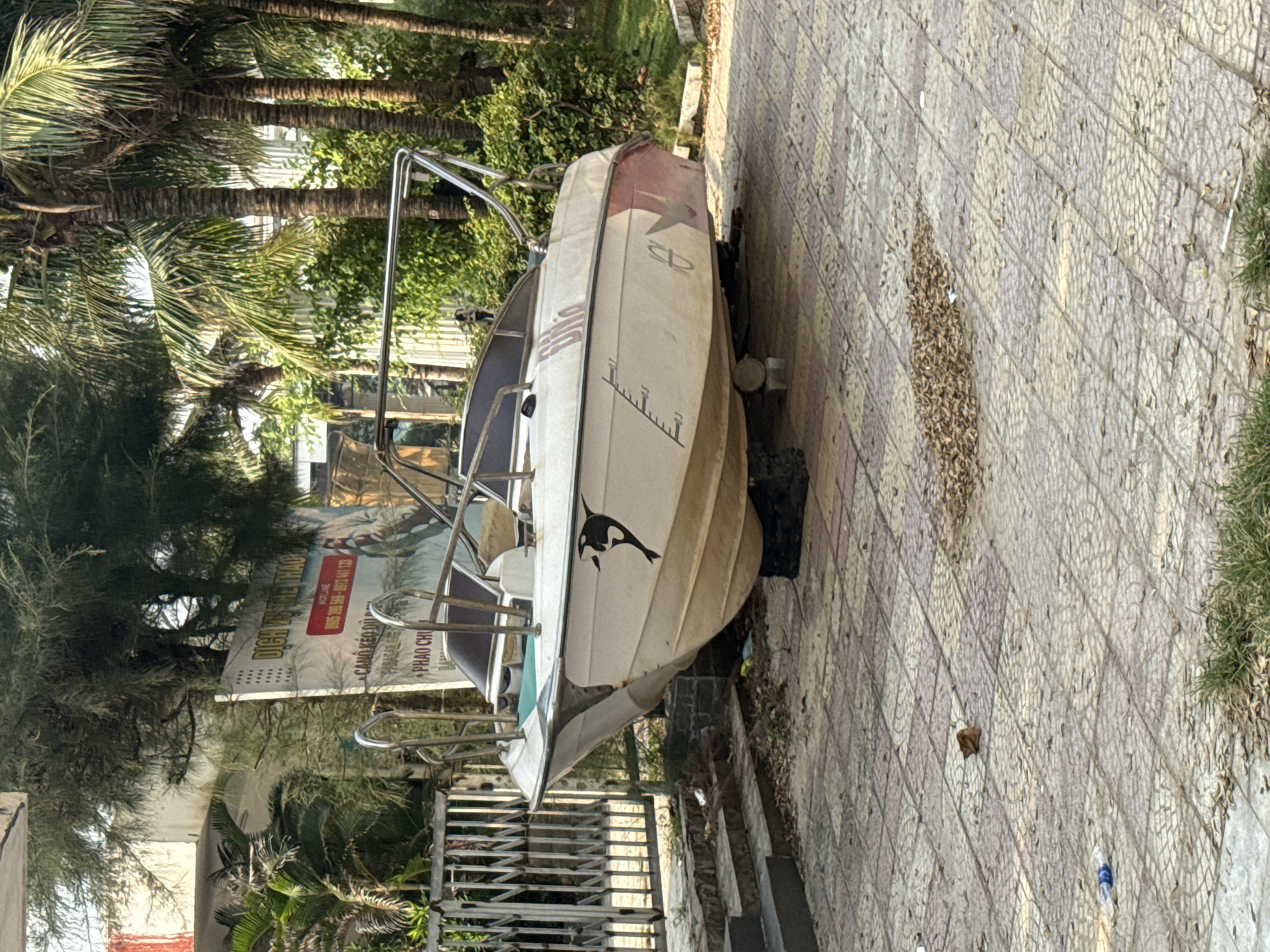 The image depicts a white speedboat resting on a patterned concrete sidewalk next to a metal fence and some shrubbery. The boat has a black orca decal on its side. Behind the boat, palm trees and a commercial billboard are visible. Based on the style of the billboard, the text, and overall ambiance, this photograph likely originates from Đà Nẵng, Vietnam. The overall scene appears to be a stationary display or storage of the boat rather than an active waterfront environment. No people are visible. The environment includes a mix of urban and natural elements, with the sidewalk suggesting an urban or recreational area, and the palm trees and billboard implying a commercial or tourist-oriented location.