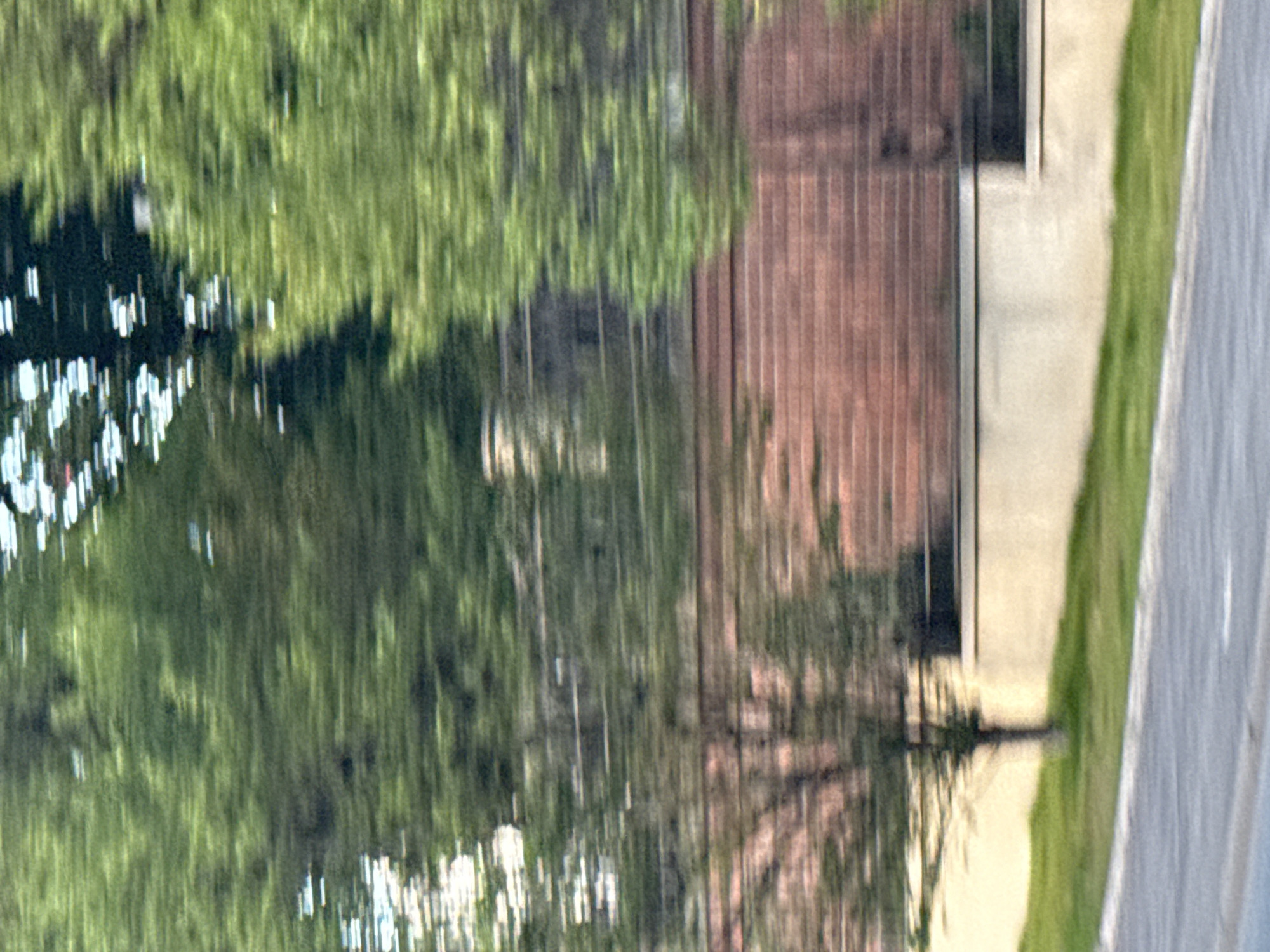 The image is a blurry, motion-blurred photograph taken from a moving vehicle, likely on a road. The scene depicts a section of a brick wall with a lighter colored structure below it, and a strip of grass in front of that. Trees with green foliage are visible behind and above the wall. The overall impression is that of a roadside view, possibly in an urban or suburban setting. The exact location is unknown.