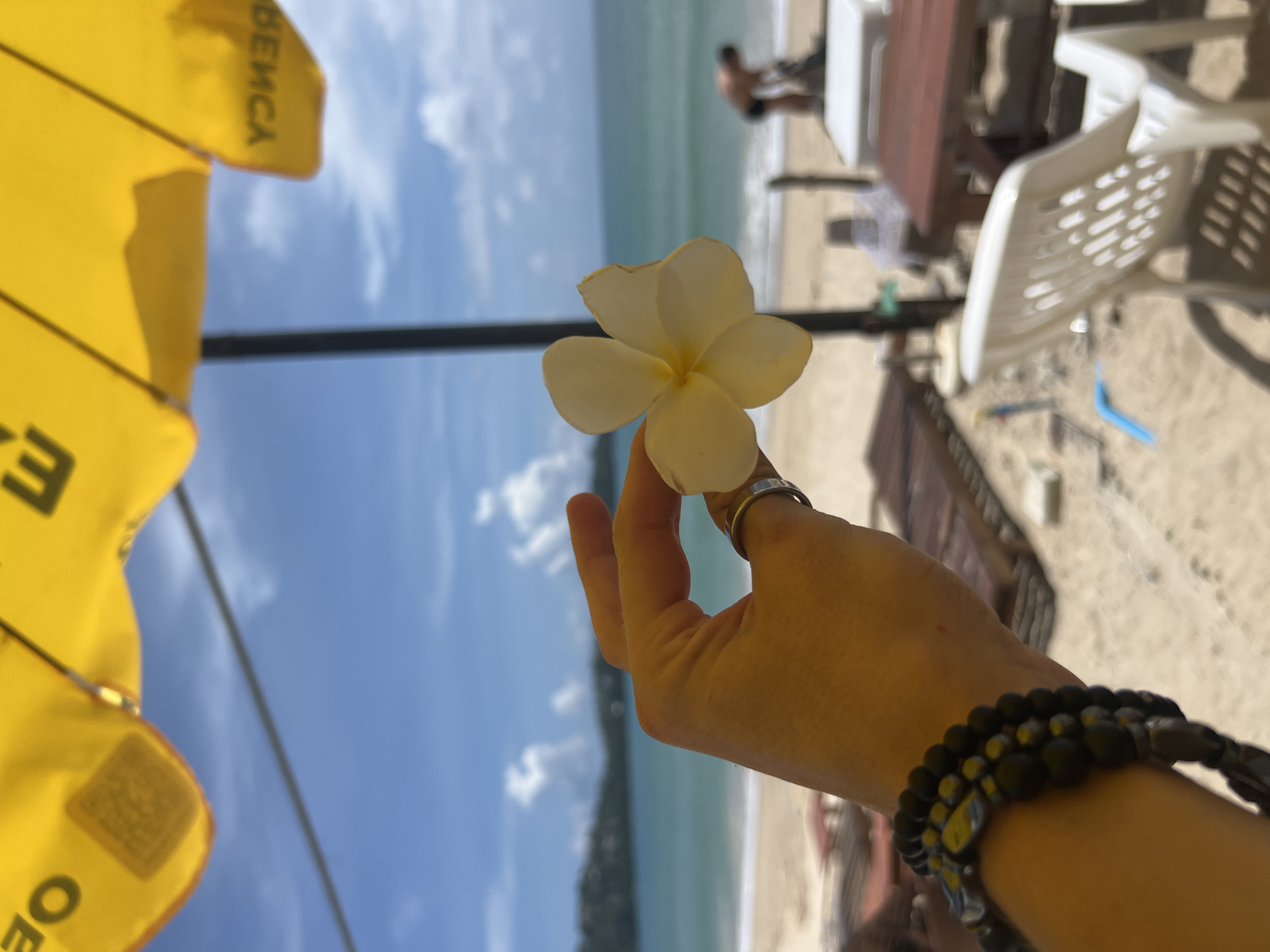 A close-up shot of a person's hand holding a light yellow plumeria flower in the foreground. The hand wears two rings on the index finger and a stack of black beaded bracelets on the wrist. Behind the hand, a sandy beach stretches towards the ocean, with lounge chairs and tables visible. The ocean is calm and a clear blue, meeting a bright blue sky with scattered white clouds. A person in dark shorts is visible in the distance, bending down near the water. A yellow umbrella with black lettering is partially visible at the top of the frame. The scene suggests a tropical beach setting in Choeng Thale, Thailand.