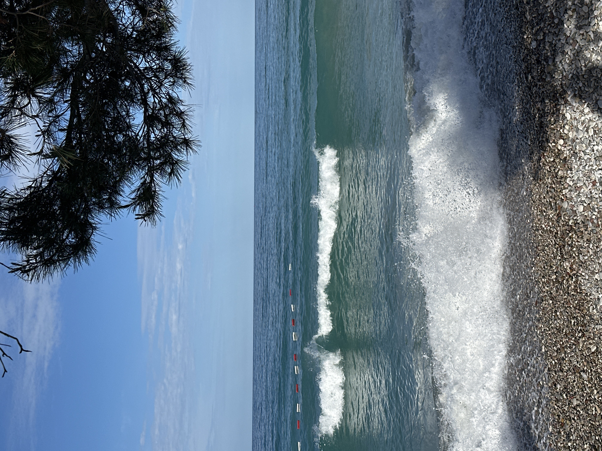 The image shows a section of the beach in Šušanj, Montenegro. The view is vertical. In the upper left of the frame, the silhouette of pine tree branches is visible against a clear blue sky with scattered white clouds. The sea occupies the central and right portions of the image, with waves crashing onto the pebbled beach. A line of buoys marking a swimming zone is present in the water. The beach is composed of small, dark-colored pebbles. There are no people visible.