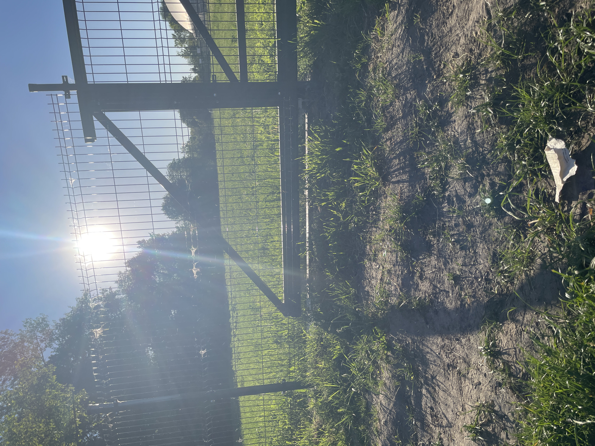 The image shows a section of a wire fence under bright sunlight, likely in the city of Unknown, Unknown. The fence is partially visible and seems to separate a grassy area from a patch of ground with sparse grass. A piece of white trash is visible on the ground. The sun's glare obscures the details of the background and part of the fence.