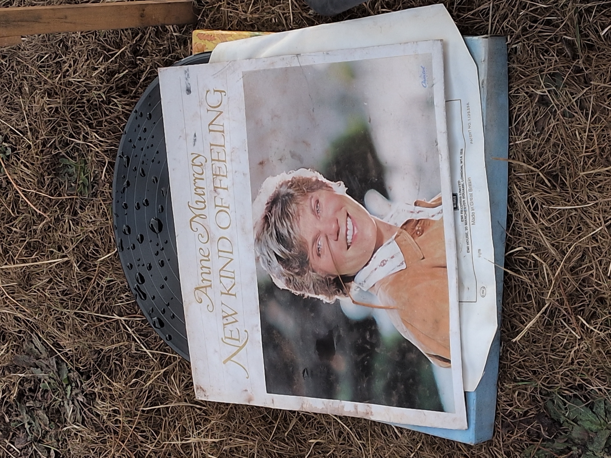 The image shows two vinyl records and their covers laid on dry grass and dead leaves. The top record is a white album cover with a picture of singer Anne Murray, smiling and wearing a tan jacket. The album title, "NEW KIND OF FEELING," is written in gold script across the top of the cover. Below this album, another record is visible, this one with a black surface and water droplets on it. The records and their covers are on top of a light blue object, possibly the packaging for the records. The environment appears to be an outdoor setting, with a wooden post visible on the right side of the image. The ground cover is predominantly dry grass and fallen leaves, indicating a natural or unkempt area. The lighting suggests it is daytime. There are no people present in the image.