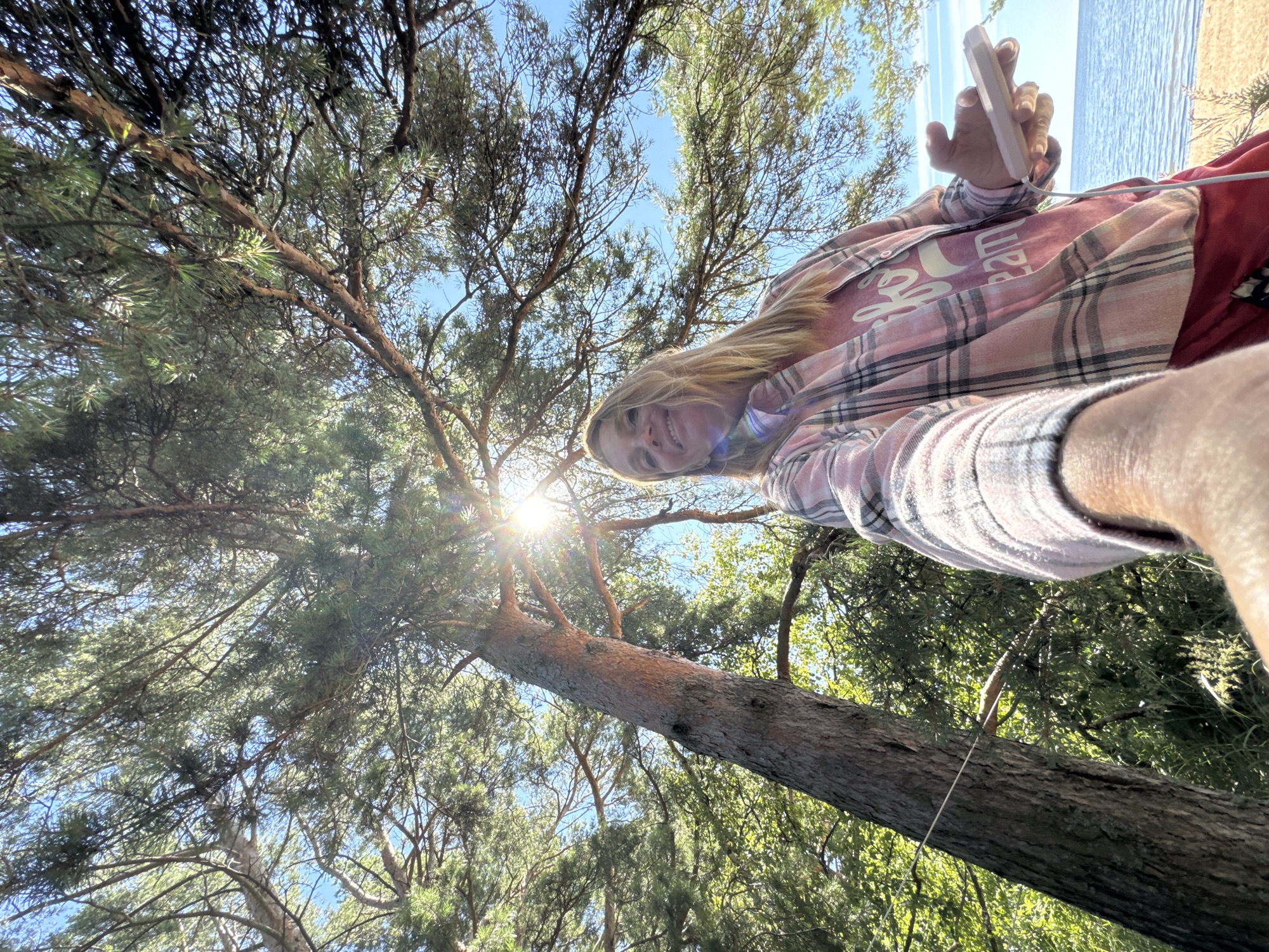 In Zelenaya Roshcha, Russia, a woman takes a selfie under a large pine tree. She is wearing a pink and white plaid shirt over a pink t-shirt and red shorts. She is holding a white phone in her right hand. The sun is shining brightly through the pine needles, creating lens flare. In the background, a calm body of water, likely a lake or sea, is visible. The scene appears to be a sunny day outdoors, possibly near a beach or shoreline.