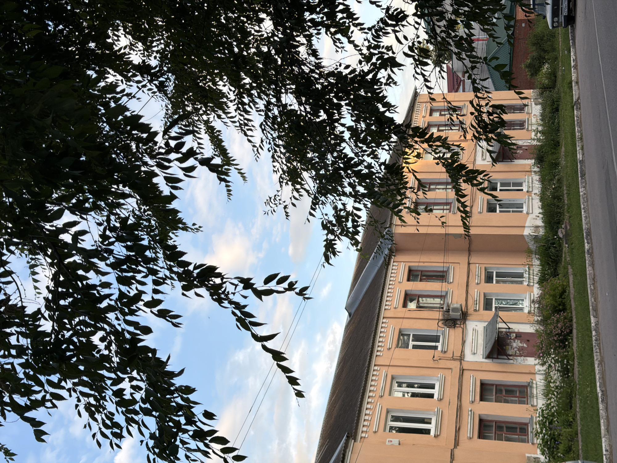The image captures a view of an apartment building on a street in Semiluki, Russia, likely during daytime. The building, painted a peach color, features multiple windows, some with red frames and others with white. A portion of a darker colored roof is visible. In front of the building, there is a strip of green grass, followed by a paved road. A car is partially visible parked on the right side of the road. The foreground is dominated by the branches and dark green leaves of a tree, creating a natural frame for the scene. The sky above is blue with scattered clouds. There are no people visible in the image.