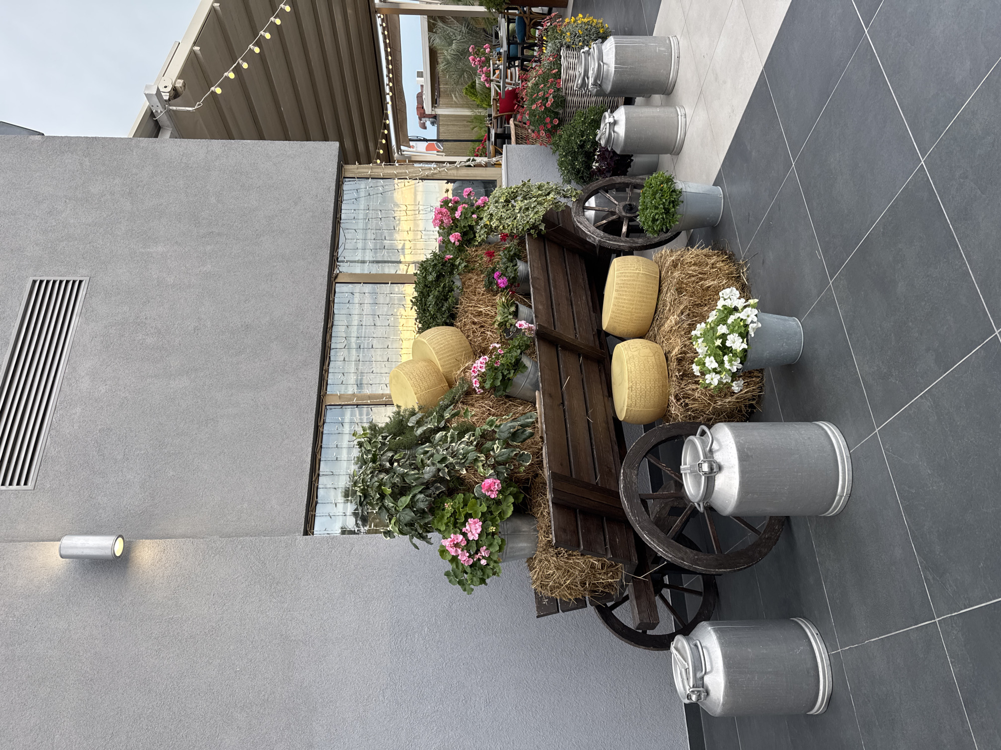 The image shows an outdoor decorative scene, possibly a restaurant or cafe setting. A wooden cart filled with hay bales and decorative cheese wheels is centrally positioned. Flowers in metal containers are arranged around the cart, and metal milk canisters are placed nearby on the tiled floor. The background includes a building with large windows and string lights overhead. The location is reported to be Sochi, Russia, but there are no specific elements in the image to independently verify this claim.