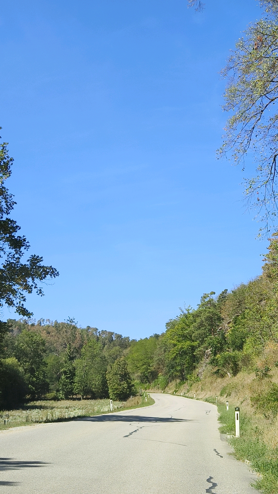 The image depicts a rural road winding through a hilly, wooded landscape. The sky is a clear, vibrant blue with no clouds. On the left side of the road, there are trees and a field of sparse vegetation. On the right side, the terrain rises into a densely wooded hillside. The road itself is asphalt, with some visible cracks and markings. White posts with black tops are lining the side of the road. The scene suggests a serene, natural environment, likely in a mountainous or hilly region. No people or animals are visible. The lighting indicates it is daytime, likely morning or afternoon, with shadows cast by the trees and the curvature of the land. This scene is in Katastralgemeinde Langenlois, Austria.
