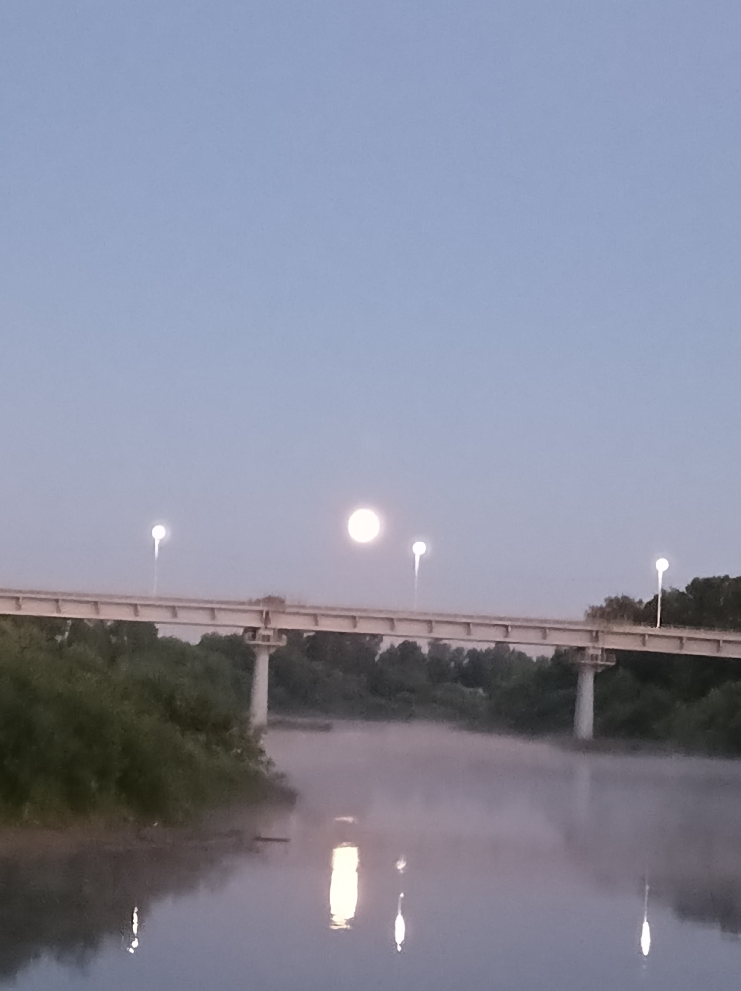 The image depicts a serene scene at dusk or dawn over a river, with a bridge spanning across it. The sky is a soft, pale blue, transitioning to a darker hue at the top. A full moon is visible in the sky, slightly to the right of the center, casting a gentle glow. Along the bridge, there are several streetlights, two of which are illuminated, with one appearing as a bright white sphere and another as a smaller, focused light. The bridge itself is a long, concrete structure supported by sturdy pillars, with a dense line of trees lining the riverbanks on both sides. The river surface is calm, with a light mist hovering over it, reflecting the light from the moon and the streetlights in ethereal streaks. The overall atmosphere is tranquil and picturesque, suggesting a quiet moment in a natural setting within or near the city of Buy, Russia, potentially along the Kama River or a tributary, given the geographical context often associated with such landscapes in Russia. There are no people or animals visible in the image. The scene is static and peaceful, focusing on the interplay of light and shadow over the water and the architectural elements of the bridge.