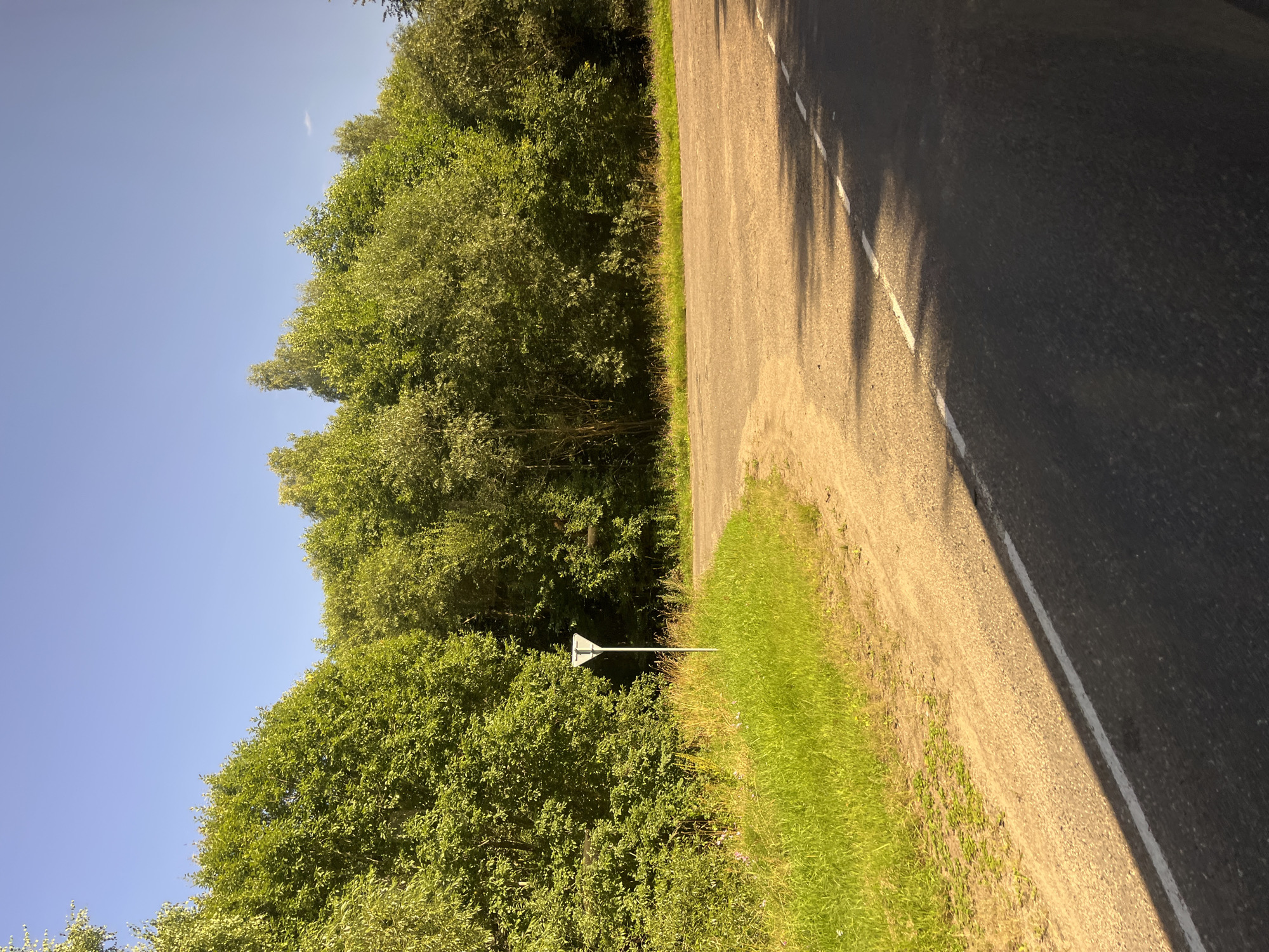 An eye-level, outdoor, medium shot shows a road junction on a sunny day. The foreground is dominated by asphalt road with a white dashed line on the right side. To the left, a dirt road merges with the asphalt. A strip of green grass and vegetation lines the junction. In the background, a dense line of green trees stretches across the horizon, with a clear blue sky above. A white triangular road sign with a black outline and a "T" shape is visible on a pole to the left of the junction, near the trees. The overall scene depicts a rural road intersection surrounded by nature.