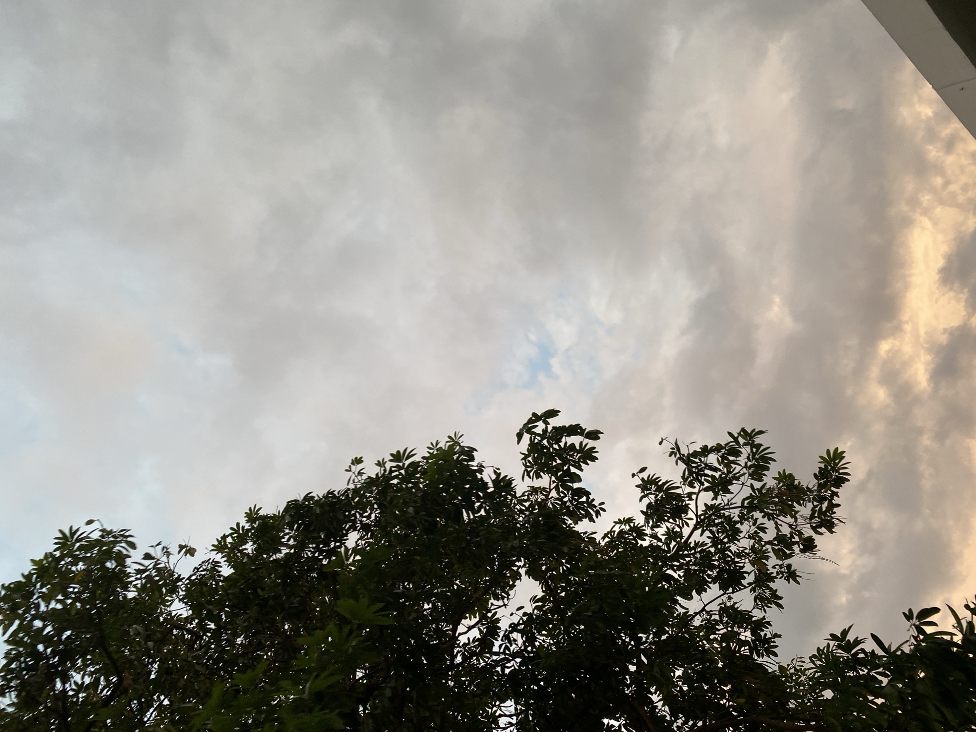 The image captures a portion of a dense green tree on the left side, silhouetted against a cloudy sky. The sky exhibits a gradient of colors, transitioning from a pale blue at the top to soft orange and yellow hues near the bottom, suggesting it might be dusk or dawn. The clouds are varied, with some appearing lighter and more diffused, while others are darker and more textured. A sliver of a white structure, possibly a building's edge, is visible in the bottom right corner. The scene appears to be an outdoor environment, with the foliage of the tree indicating a natural setting within or on the outskirts of Banda Aceh, Indonesia. There are no people or animals visible in the image.